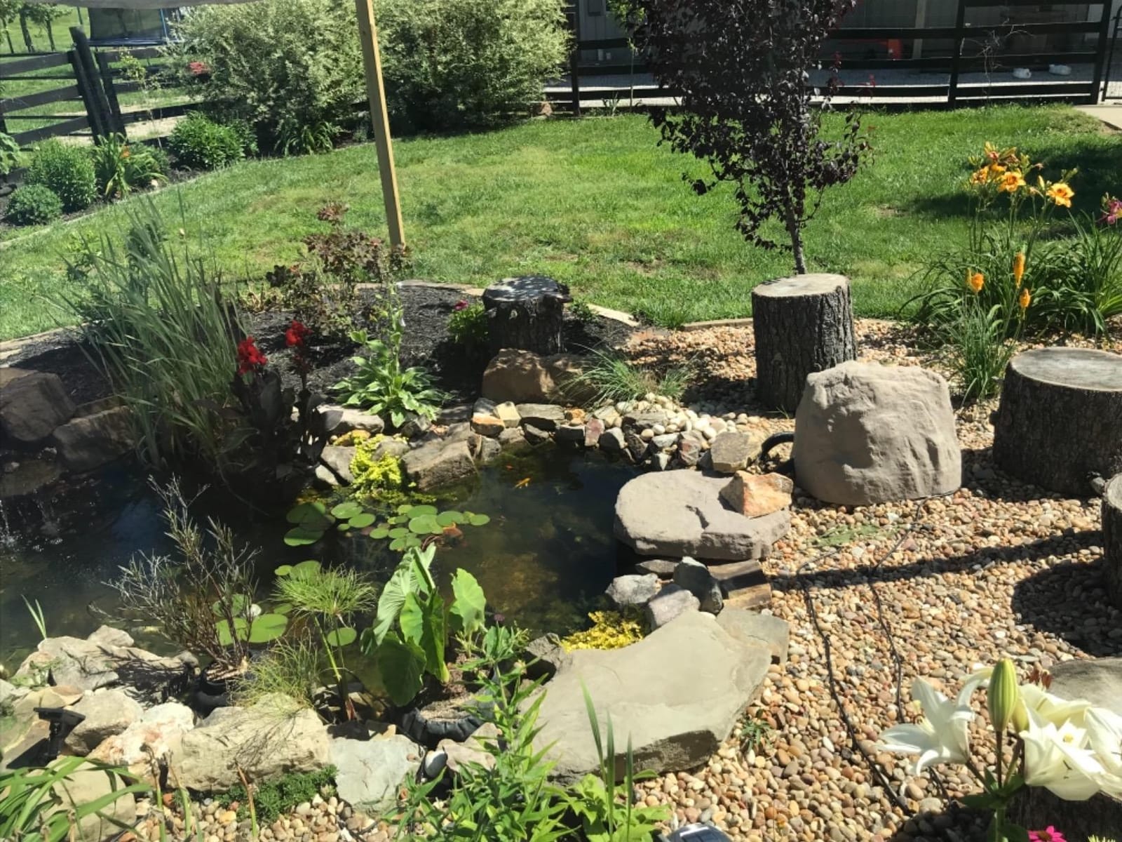 Aquascape DIY Backyard Pond Kit 8 x 11 feet - Complete Water Garden Ecosystem with Pump, Skimmer, and Filter, 99765 customer photo 2