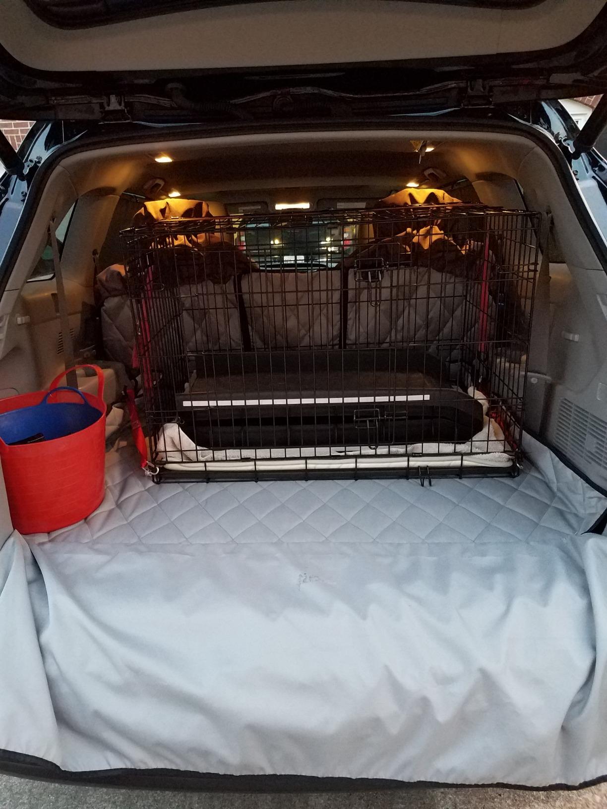 PetSafe Happy Ride Folding Dog Ramp customer photo 1