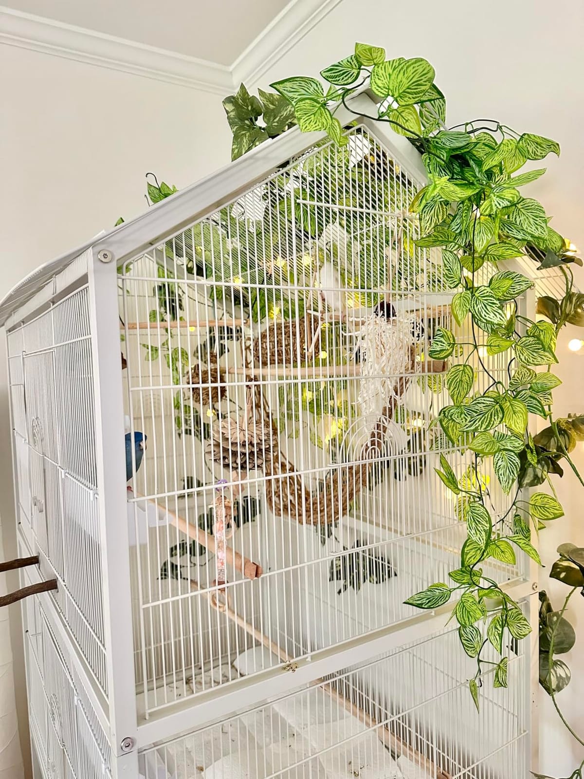 Prevue Pet Products Steel Bird Flight Cage with Wheels - Large Birdcage for Parakeets, Canaries, Finches, Cockatiels, Lovebirds, & Green Cheek, Metal Standing Birdcage - Black, Large customer photo 1