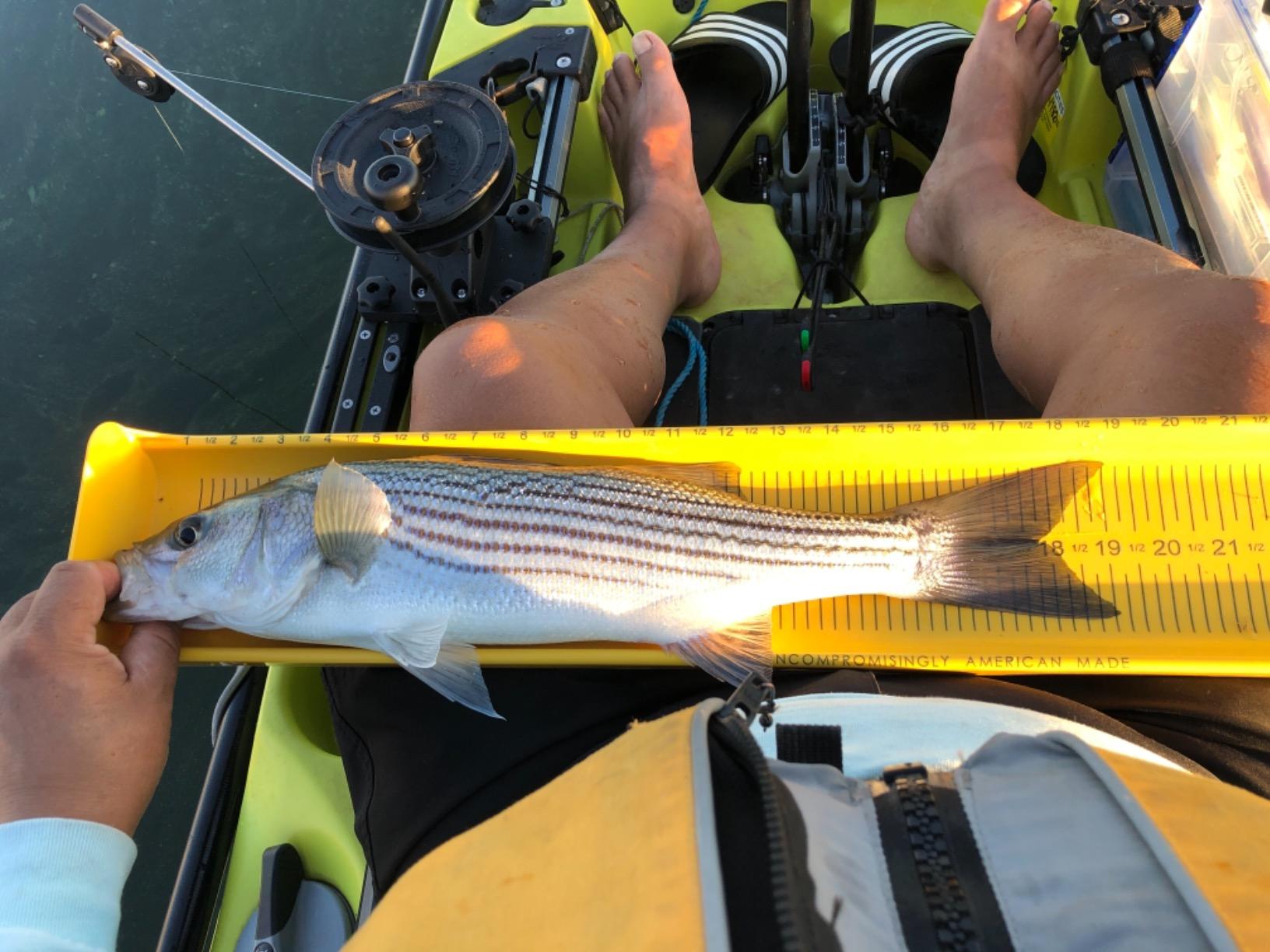 Scotty #1073DP Laketroller Manual Downrigger, Post Mount, Display Packed BLACK, Small customer photo 2