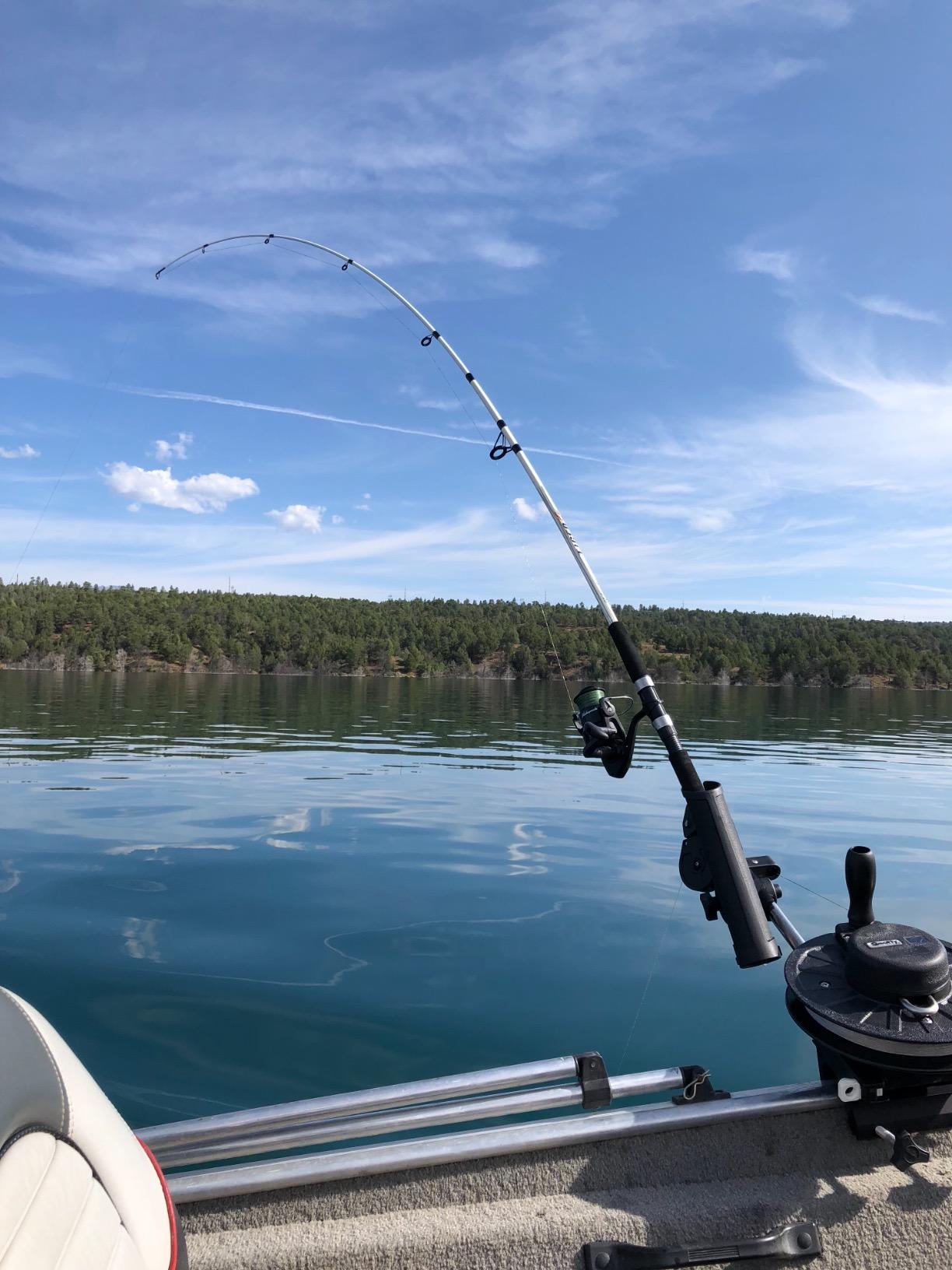 Scotty #1060 Depthking Manual Downrigger, Display Packed w/ Rod Holder | Ideal for the small boat that fishes deep and needs to get the catch up quick. customer photo 2
