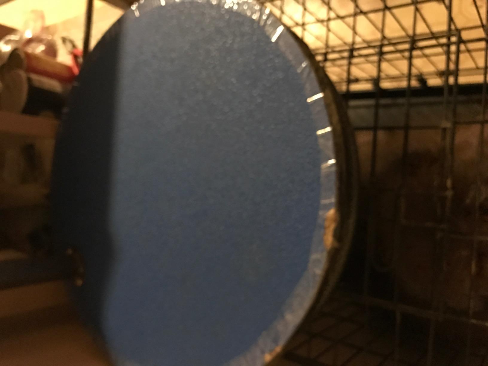 Master Equipment Pet Grooming Table for Pets, Blue customer photo 1