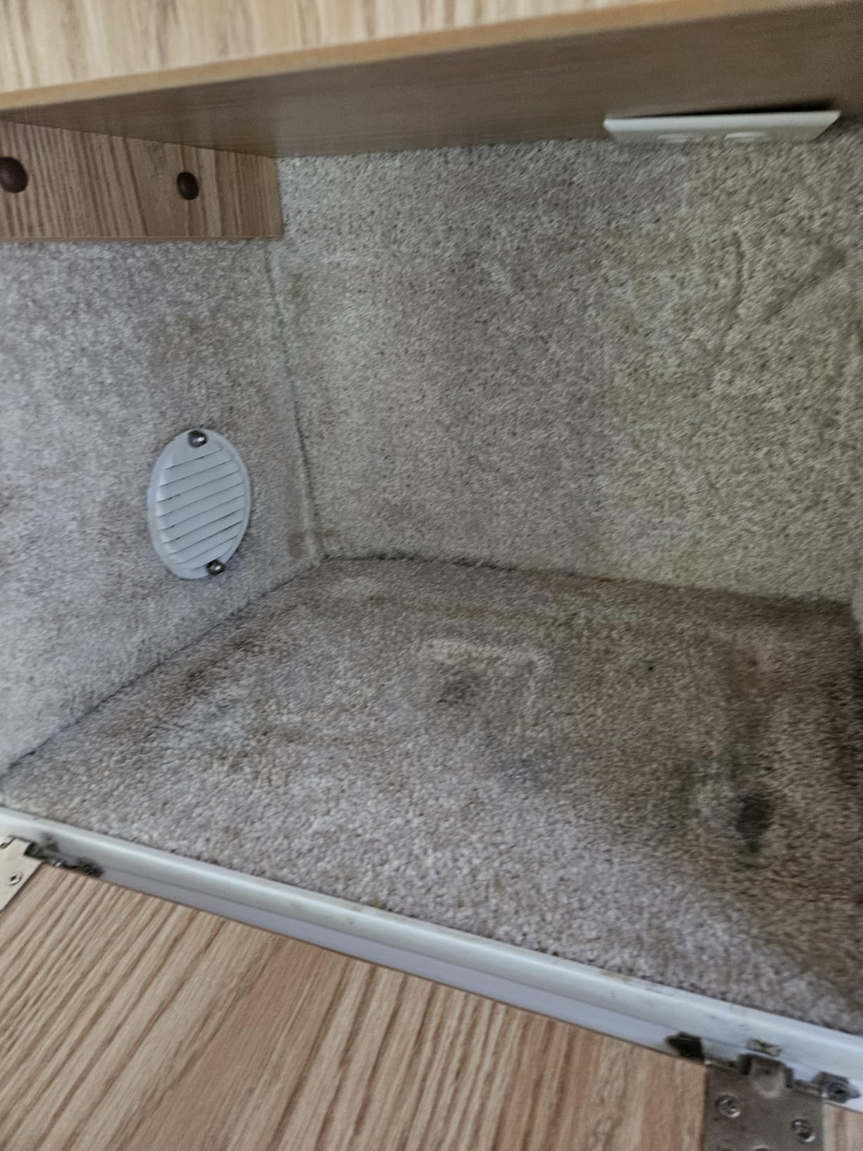 Chemical Guys, Lightning Fast Carpet & Upholstery Stain Extractor, 16 oz | Tackles coffee, soda, wine and pet messes on carpet, seats and mats, just spray, agitate and blot for a clean look. customer photo 2
