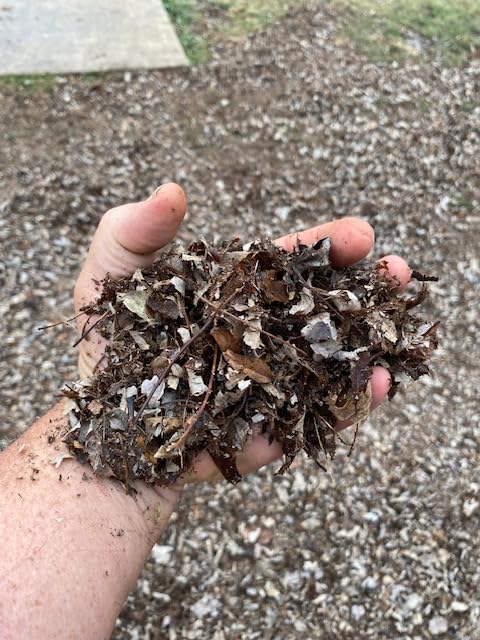 Worx 13 Amp Electric Leaf Mulcher, Leaf Shredder with High-Compression Mulching, Powerful & Compact Yard Waste Shredder, Corded, WG430 customer photo 2