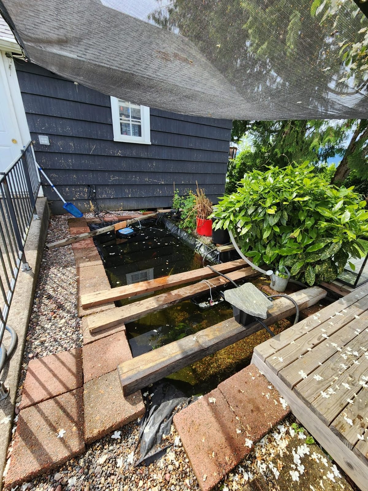 Tetra Pond Water Garden Pump, 1081 GPH customer photo 2