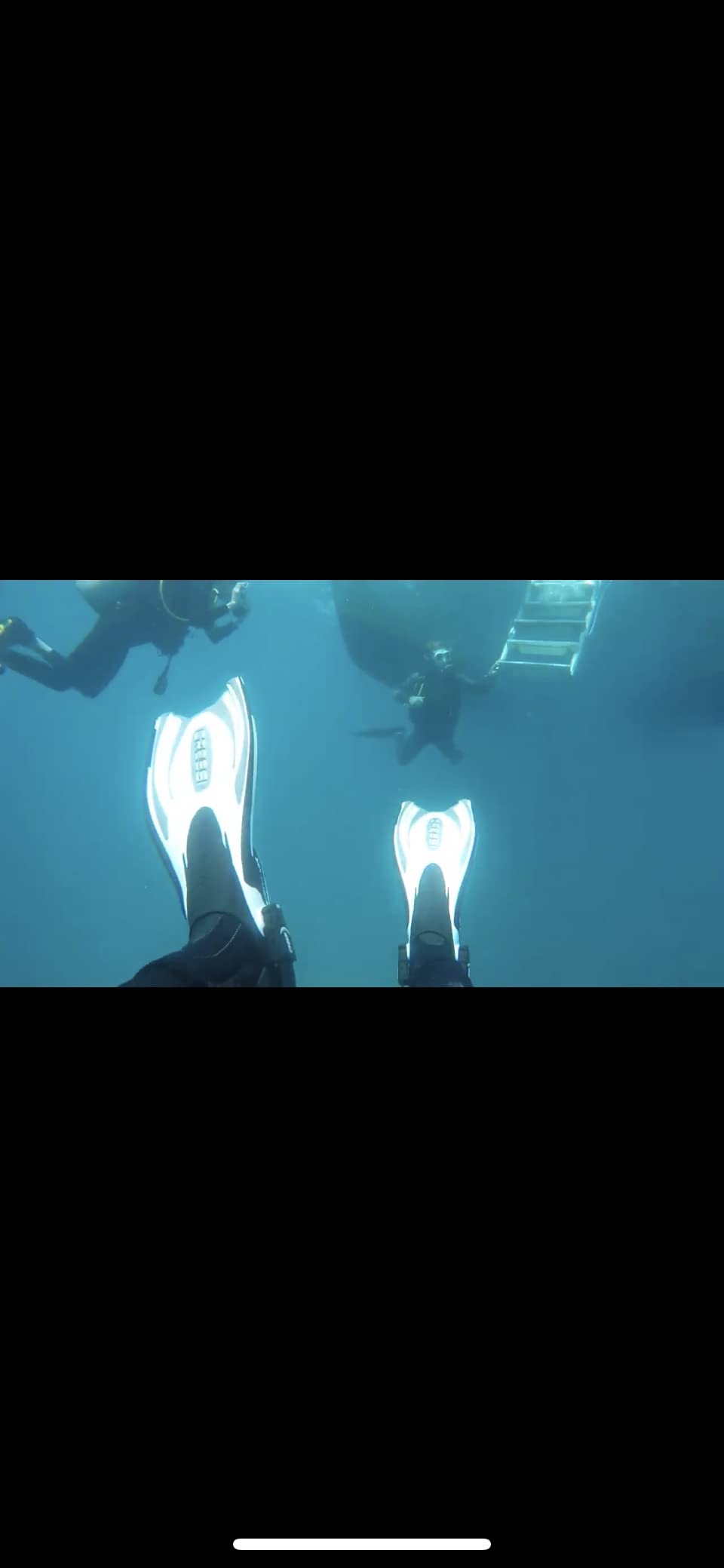 Cressi Adult Powerful Efficient Open Heel Scuba Diving Fins | Frog Plus: made in Italy customer photo 1