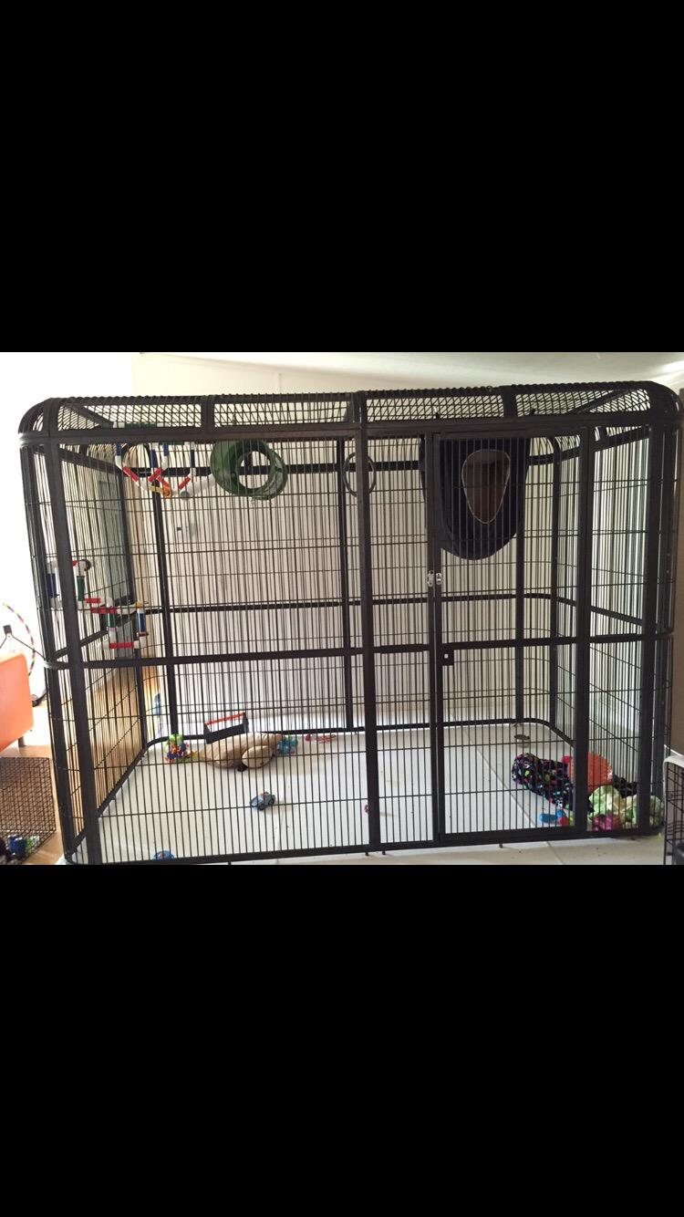 A&E Cage Co WI11062 Walk-in Bird Aviary for Macaws, 110
