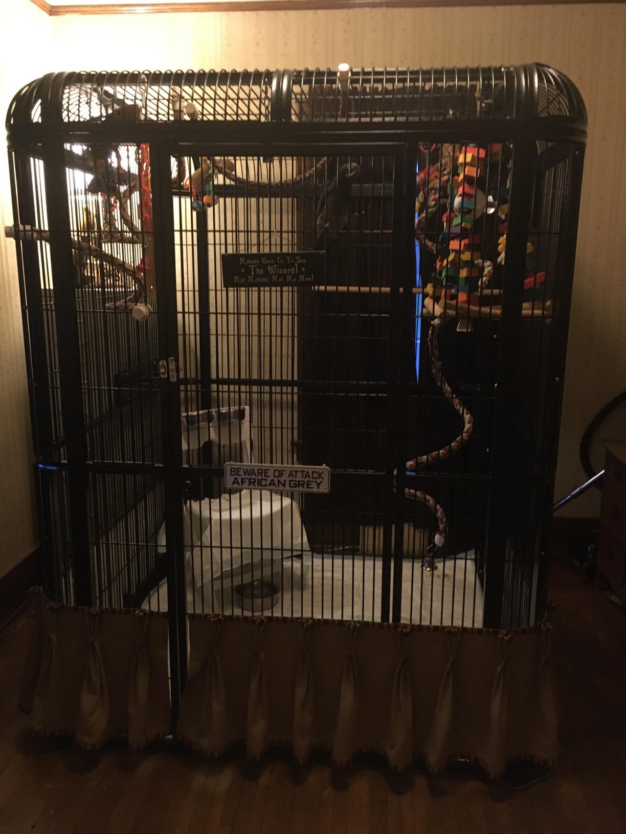 A&E Cage Co WI8662 Black Walk-in Bird Aviary - 86