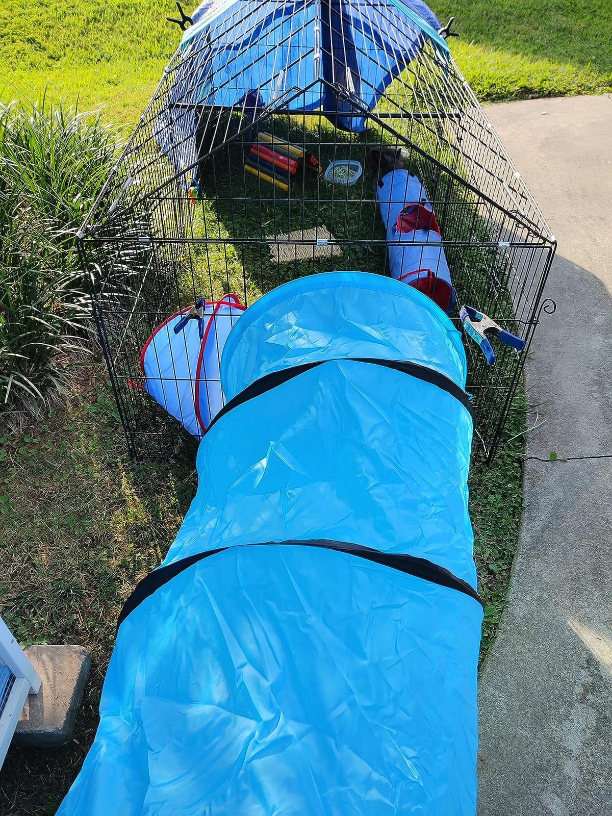 18 Ft Dog Agility Training Open Tunnel customer photo 1