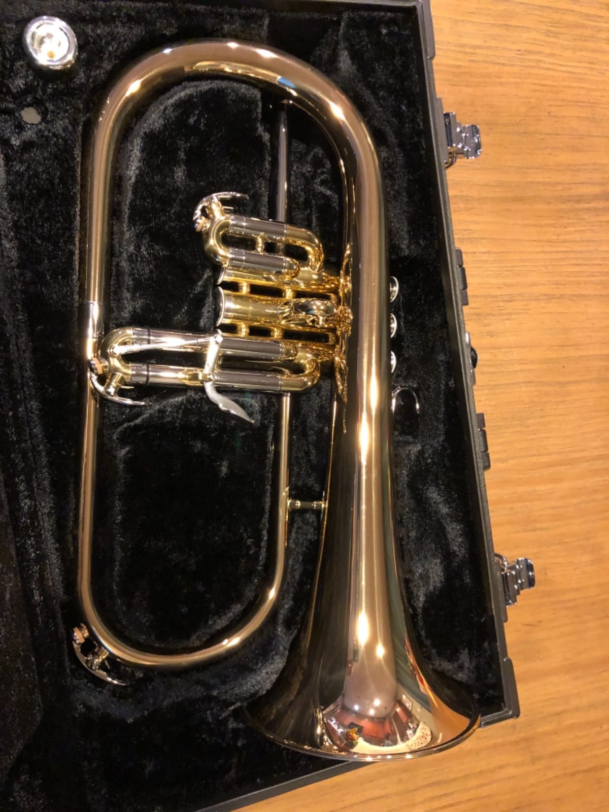 Yamaha YFH-631G Professional Bb Flugelhorn - Clear Lacquer with Gold Brass Bell customer photo 1