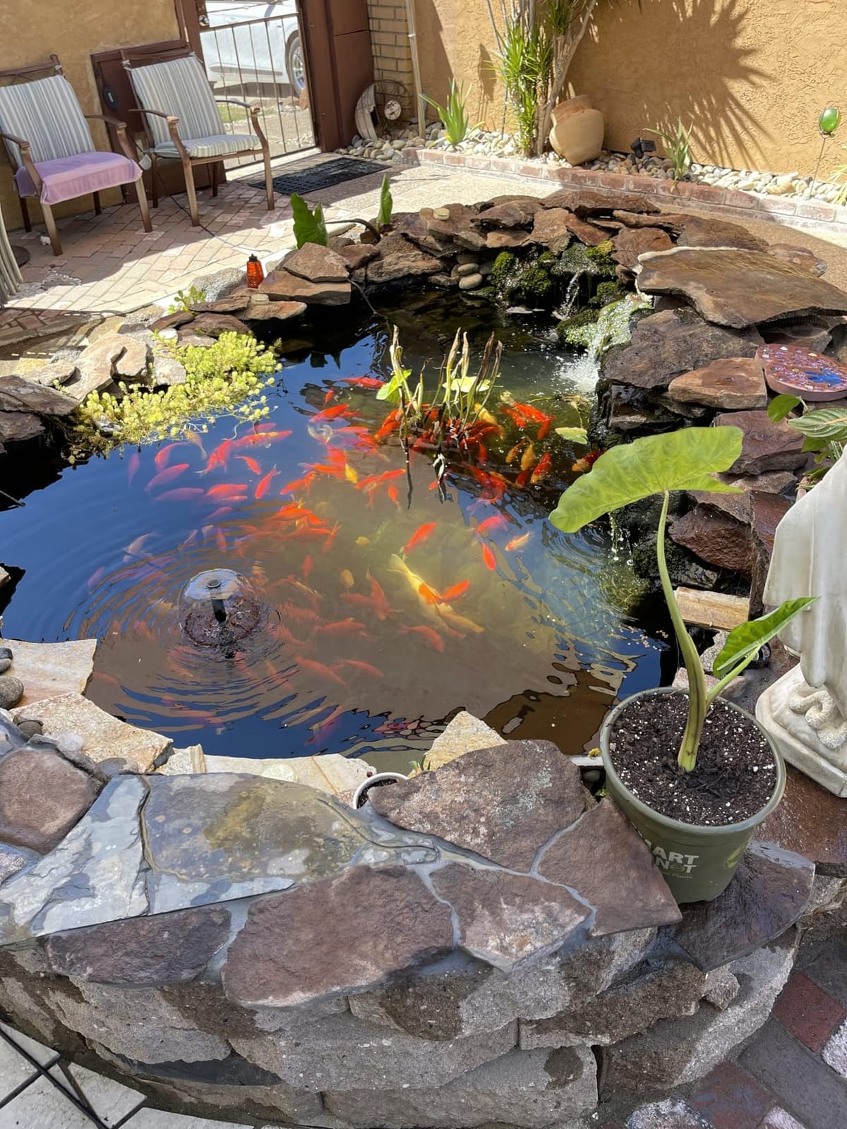 Aqua Pulse Submersible Pond Pump, 4,000 GPH, 33 ft Cord customer photo 2