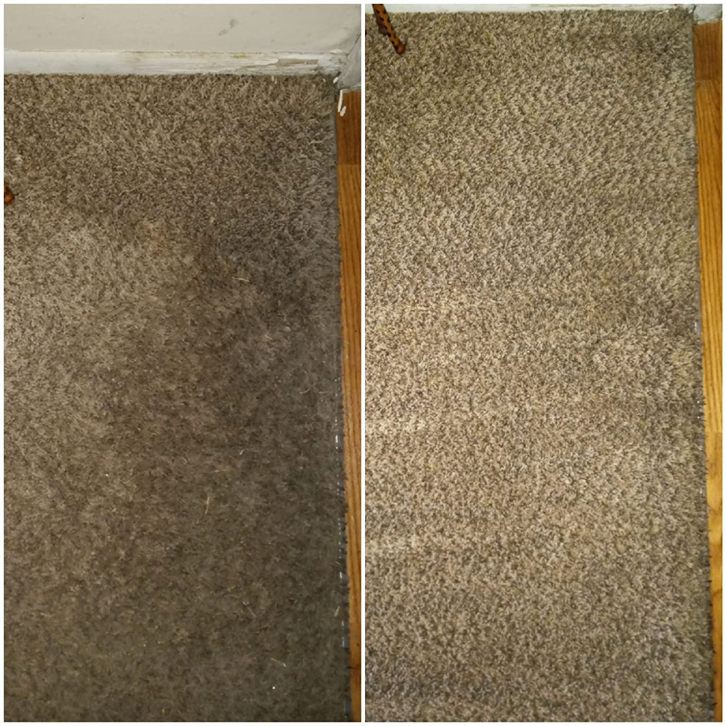 Resolve Professional Strength Spot and Stain Carpet Cleaner, Carpet Cleaner, Carpet Cleaner Solution, 32 Fl Oz customer photo 2