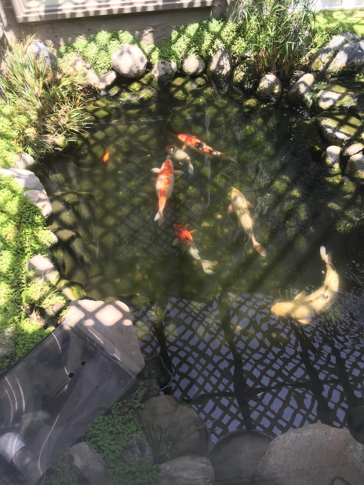 Pond Boss Waterfall Pump, 2300 GPH customer photo 2