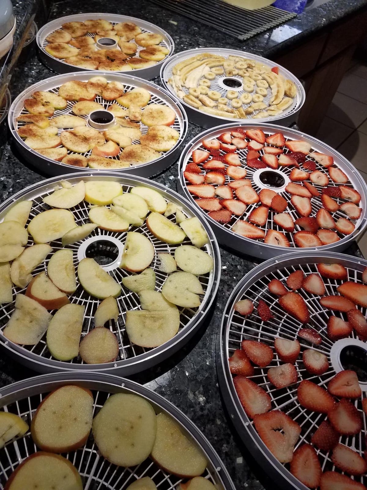 NESCO FD-75A Snackmaster Pro Food Dehydrator, For Snacks, Fruit, Beef Jerky, Gray customer photo 1