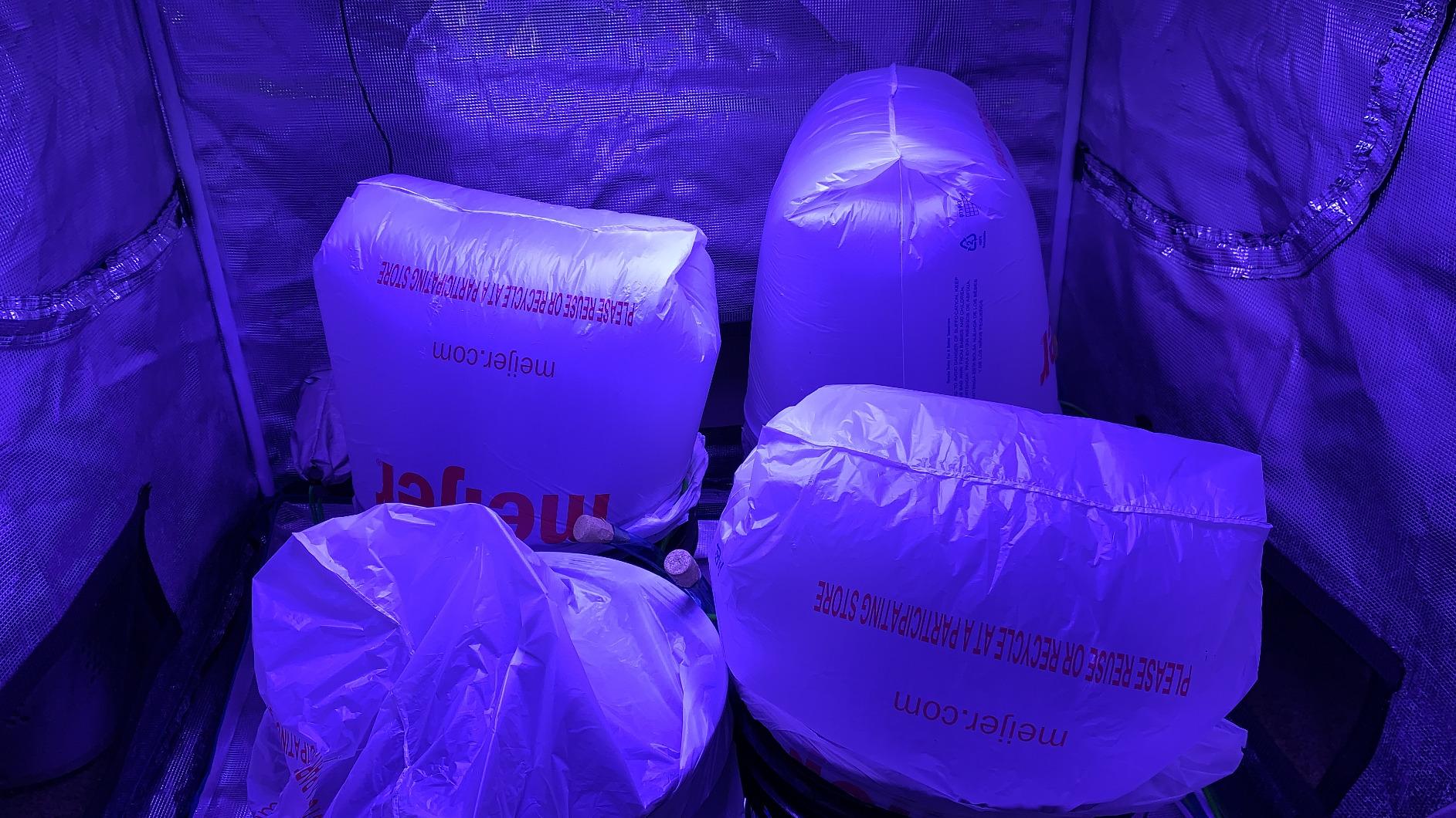 Deep Water Culture (DWC) Hydroponic Bubbler Bucket Kit by PowerGrow Systems (4) 5 Gallon - 6 inch Buckets customer photo 2