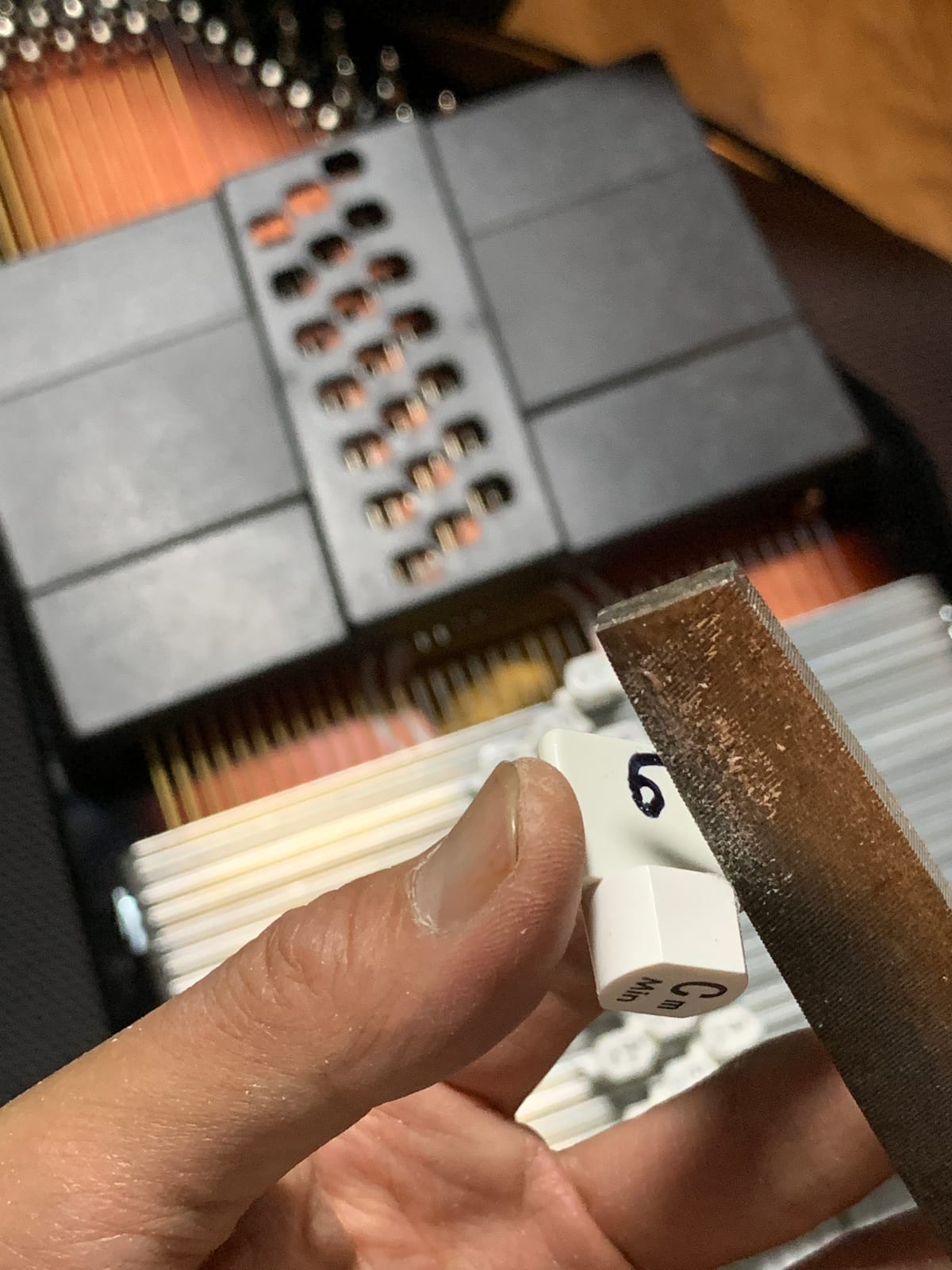 OS21CE 21 Chord Acoustic Electric Auto Harp, Tobacco Sunburst, Rock maple pin block customer photo 2