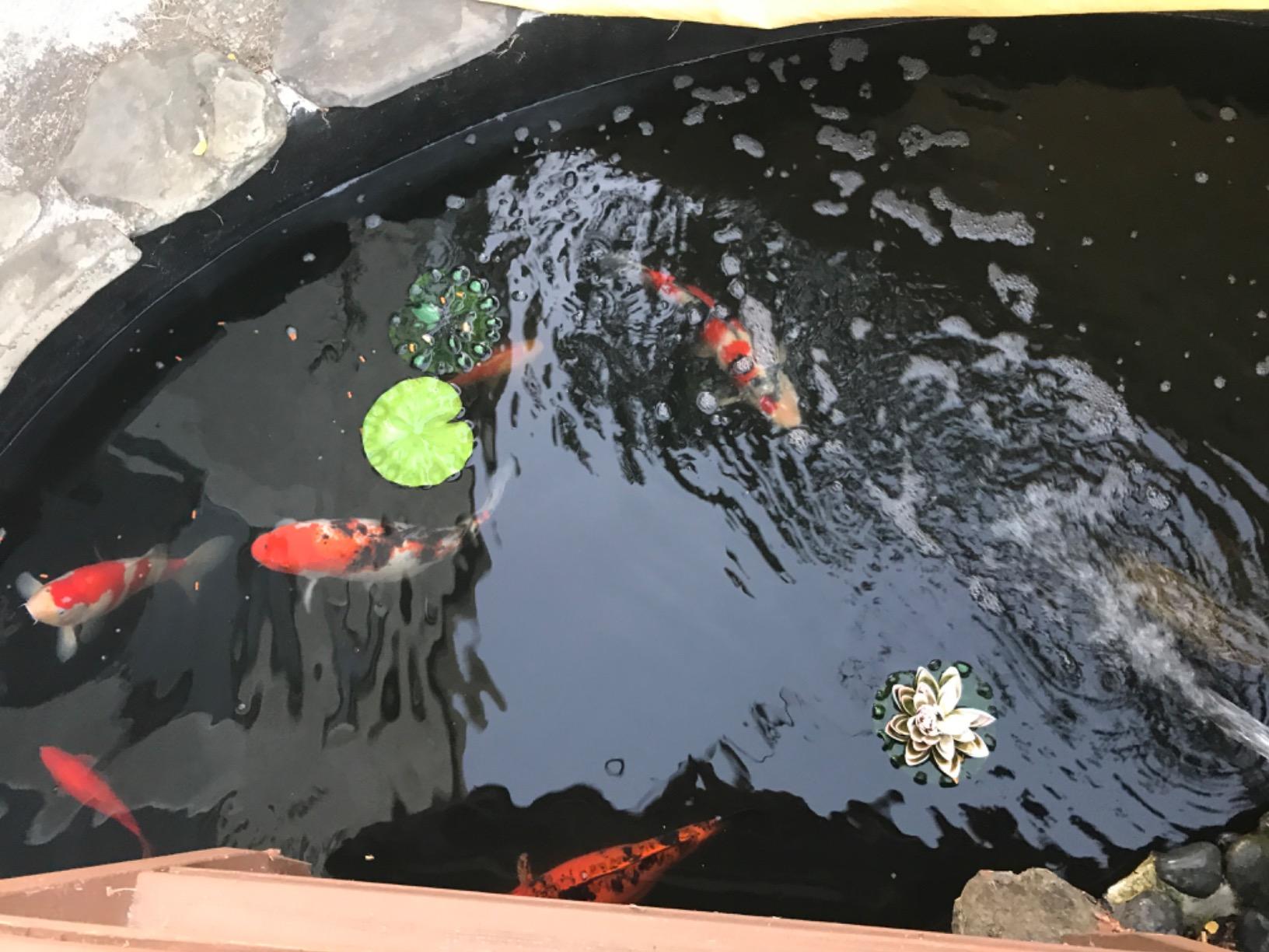 Aquascape UltraKlear 2500 UV Pond Clarifier - 28W UV Light for Clear Water & Algae Control customer photo 2