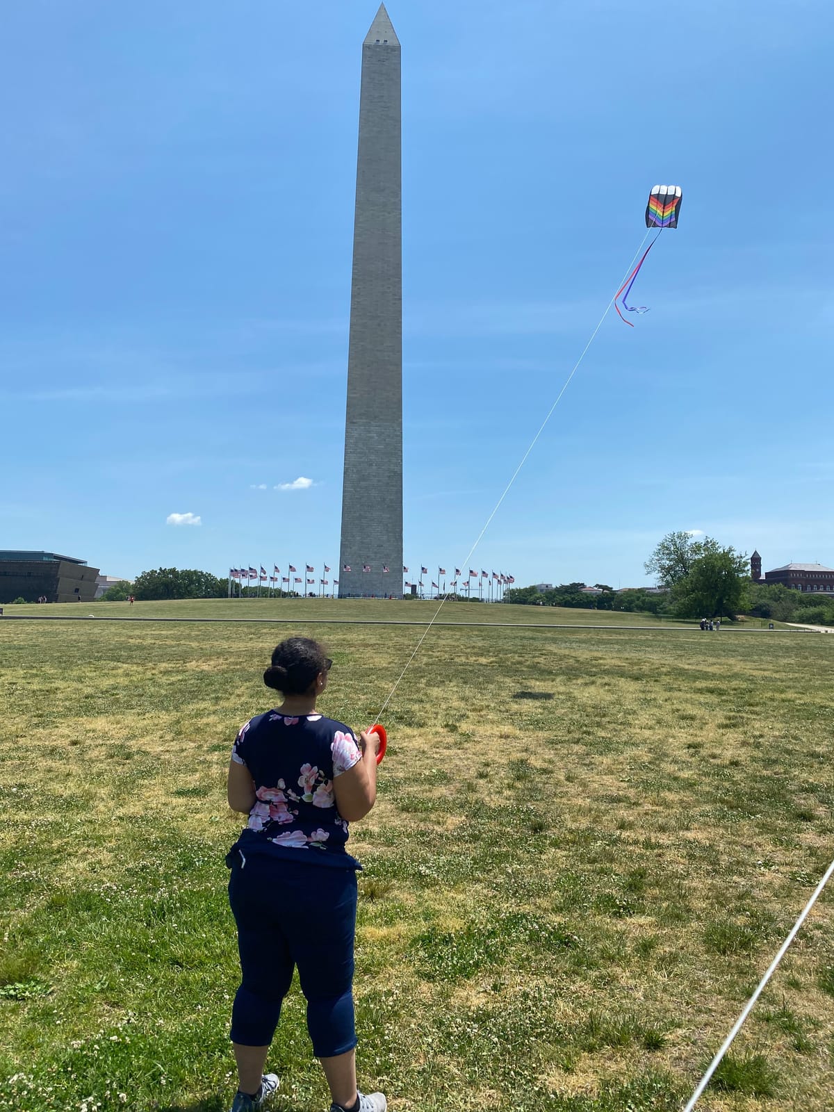 In the Breeze 3068 - 7.5 Rainbow Parafoil Kite, Easy Flying, Single-Line Travel Kite, Beginner to Intermediate Skill Levels customer photo 2