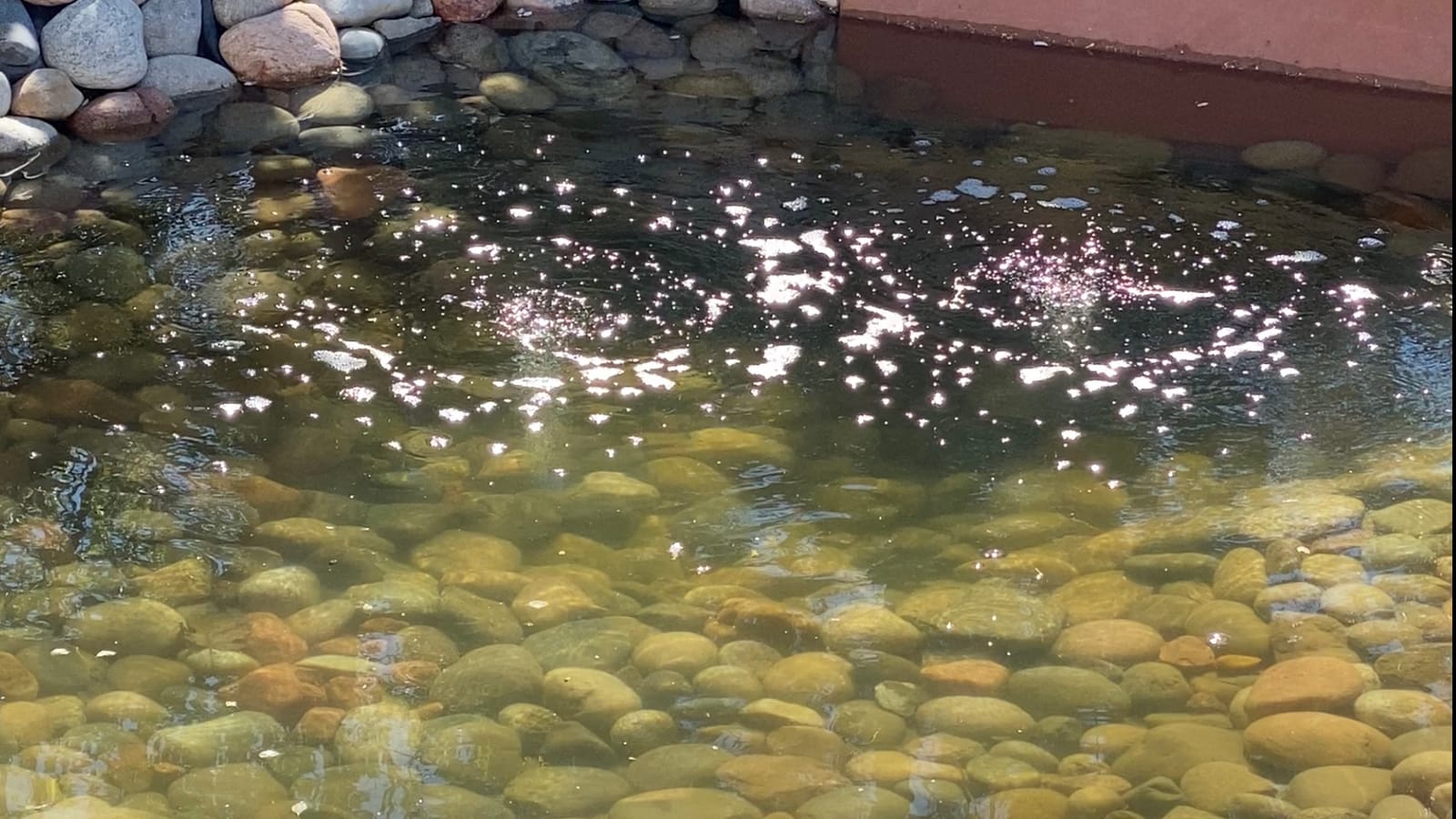 CrystalClear PondAir 2 Complete Aeration Kit, Koi & Fish Ponds Bubbler | Whisper Quiet oxygenation system adds oxygen using outdoor aerator compressor pump, tubing & 2 submersible air stones customer photo 2
