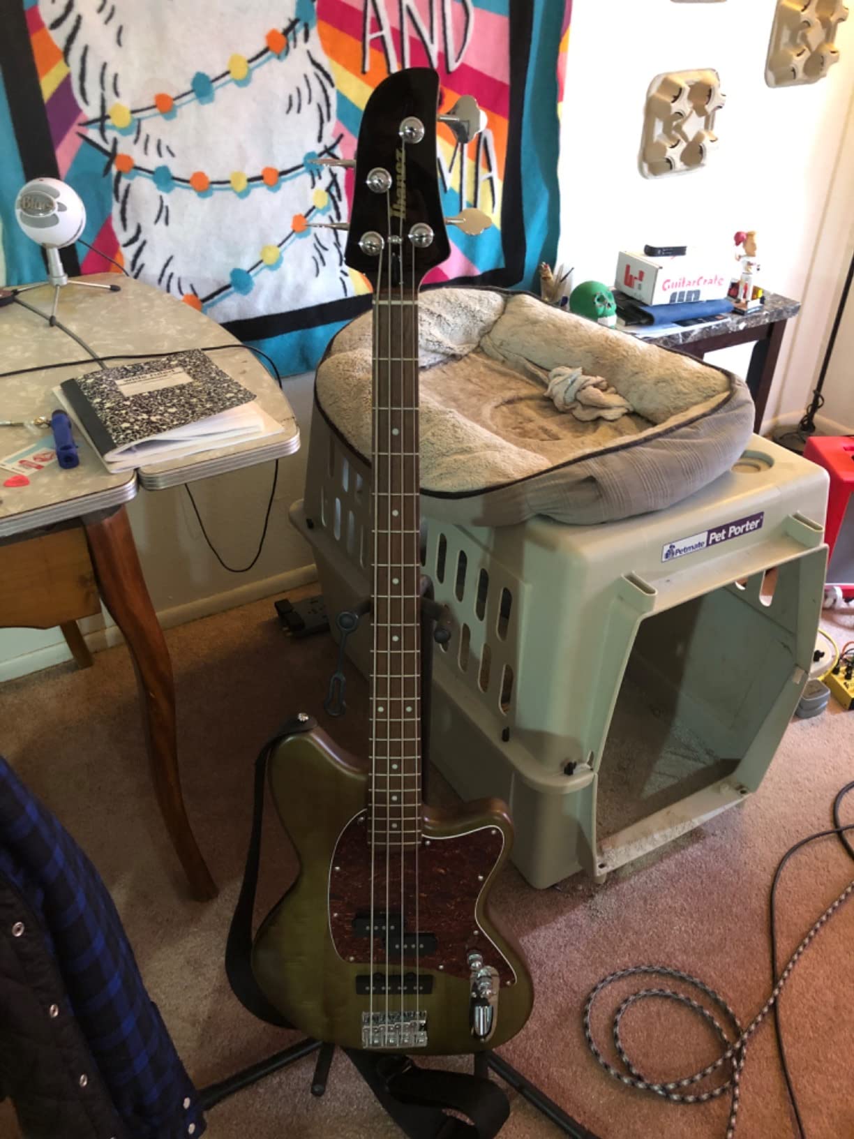 Ibanez TMB100 - Mint Green customer photo 2