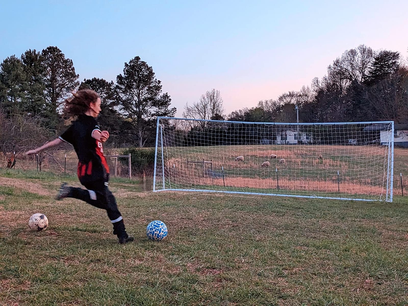 Official Size 24 X 8 X 5 Ft. Steel Soccer Goal. Heavy Duty Frame w/Net. Tournament, Regulation Size. Professional Portable Practice Training Aid. customer photo 1