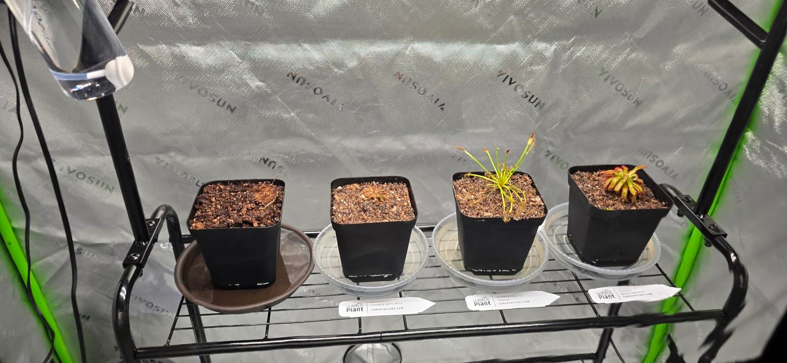 VIVOSUN S448 4x4 Grow Tent, 48