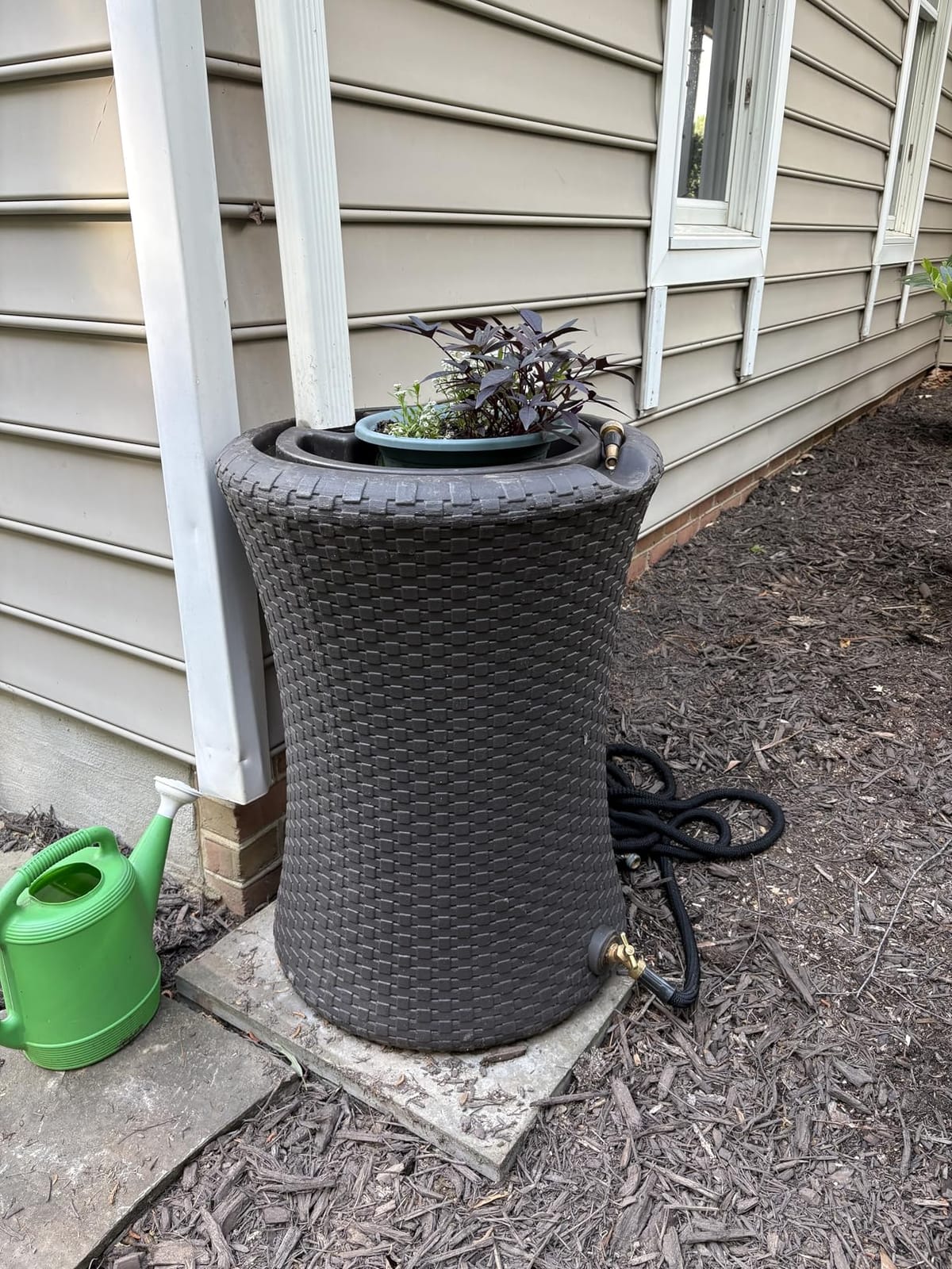 Good Ideas Impressions Nantucket Rain Water Collection Barrel, 50 Gallon customer photo 1