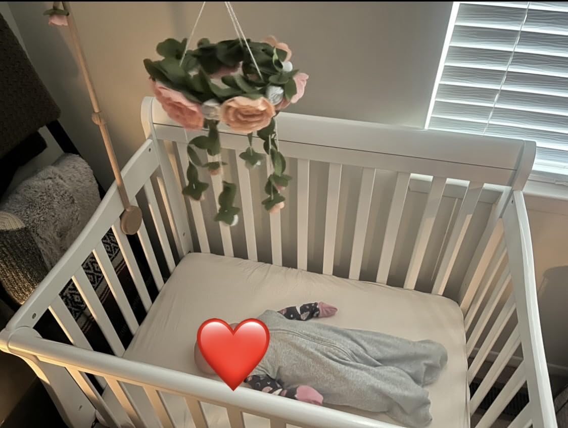 Dream On Me Aden 4-in-1 Mini Baby Crib for Small Spaces, Grey customer photo 2