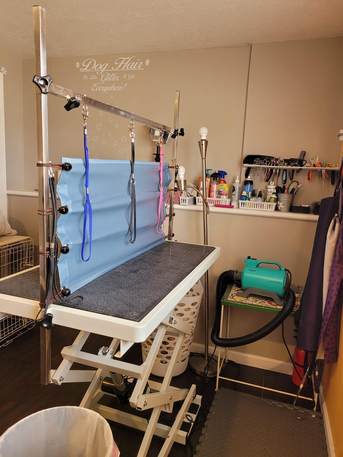 Flying Pig Heavy Duty Super-Low Electric Lift Dog Grooming Table customer photo 1