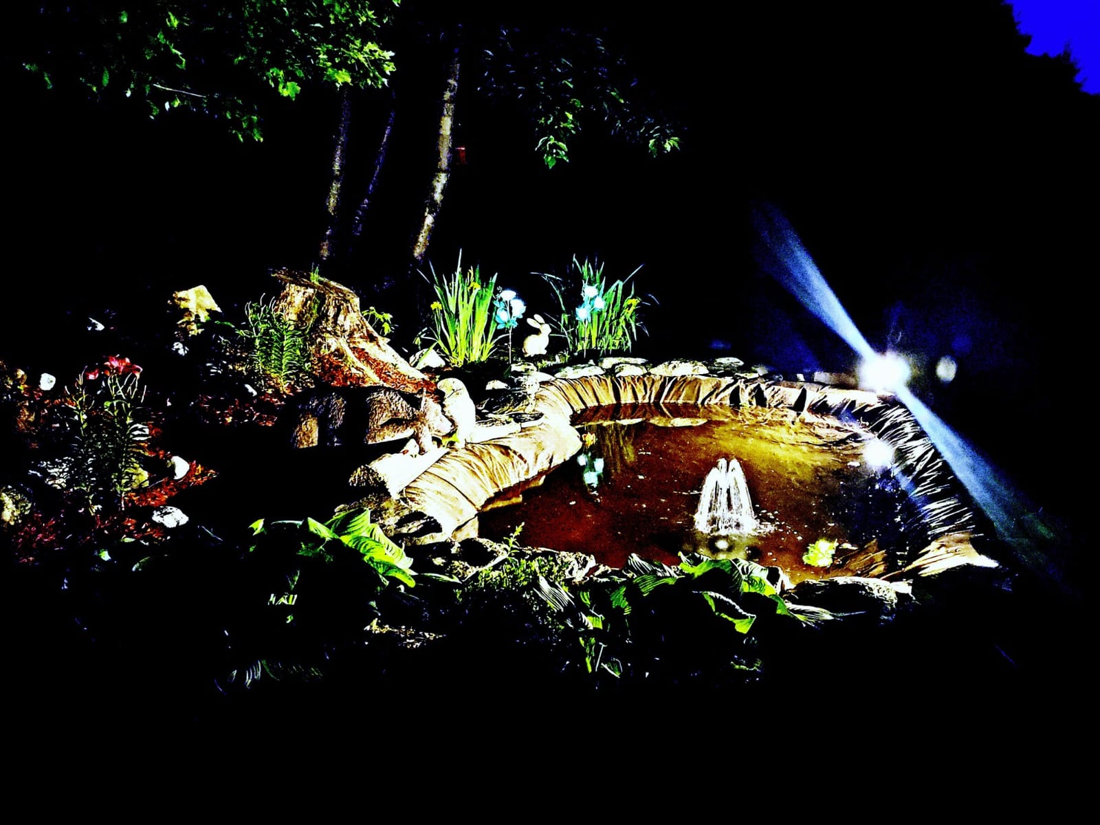 Pond Kit Water Garden Fountain KOI POND KIT Liner & Pump 9' X 6' Liner & 5 Water Lilies customer photo 1