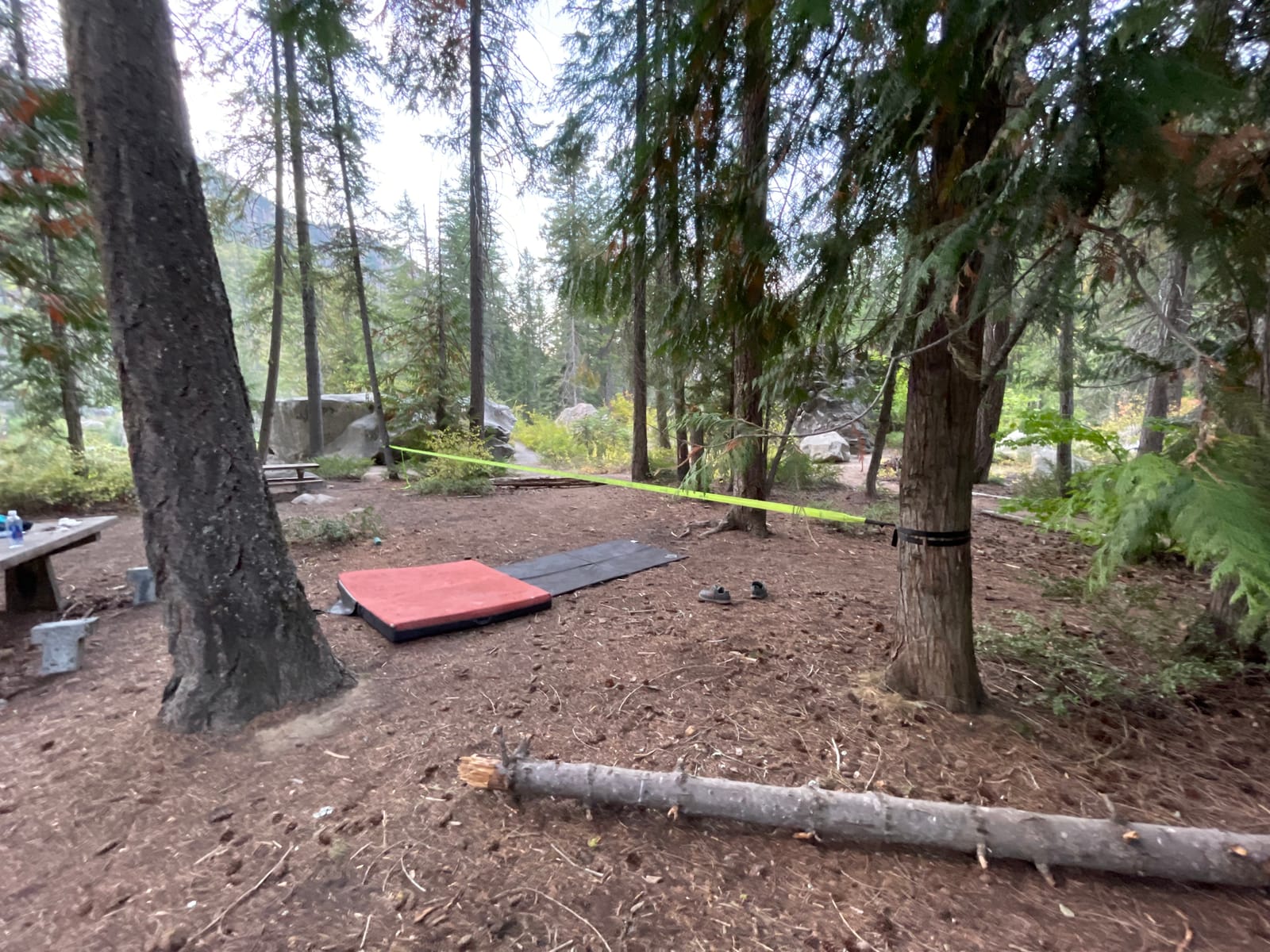 flybold Slackline Kit for Kids and Adults - 57 ft Balance Rope with Training Line, Tree Protectors, Arm Trainer, Ratchet Cover, and Carry Bag - Ideal for Tightrope Walking and Slackline Zipline customer photo 1