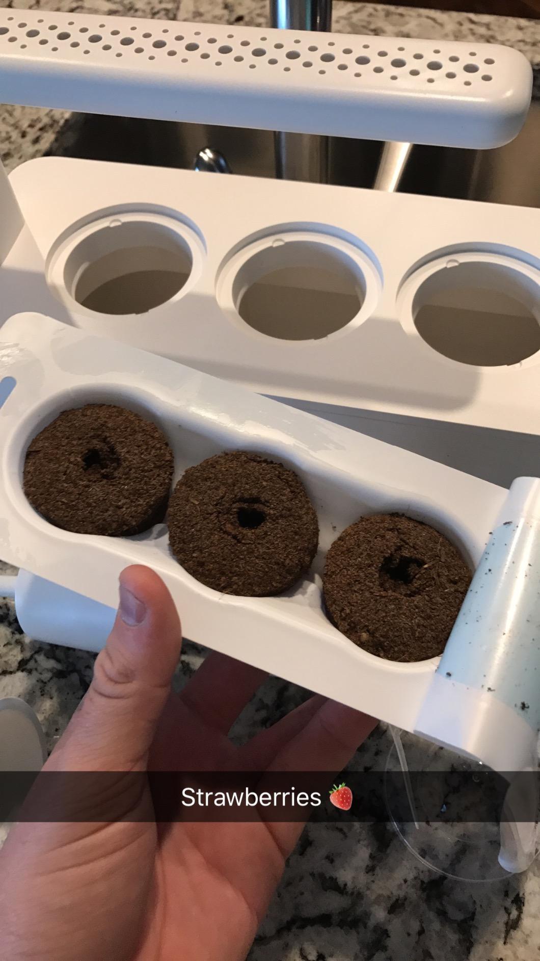 Click & Grow Indoor Herb Garden Kit with Grow Light, Smart Garden for Home Kitchen, Includes 3 Basil Pods, White customer photo 1