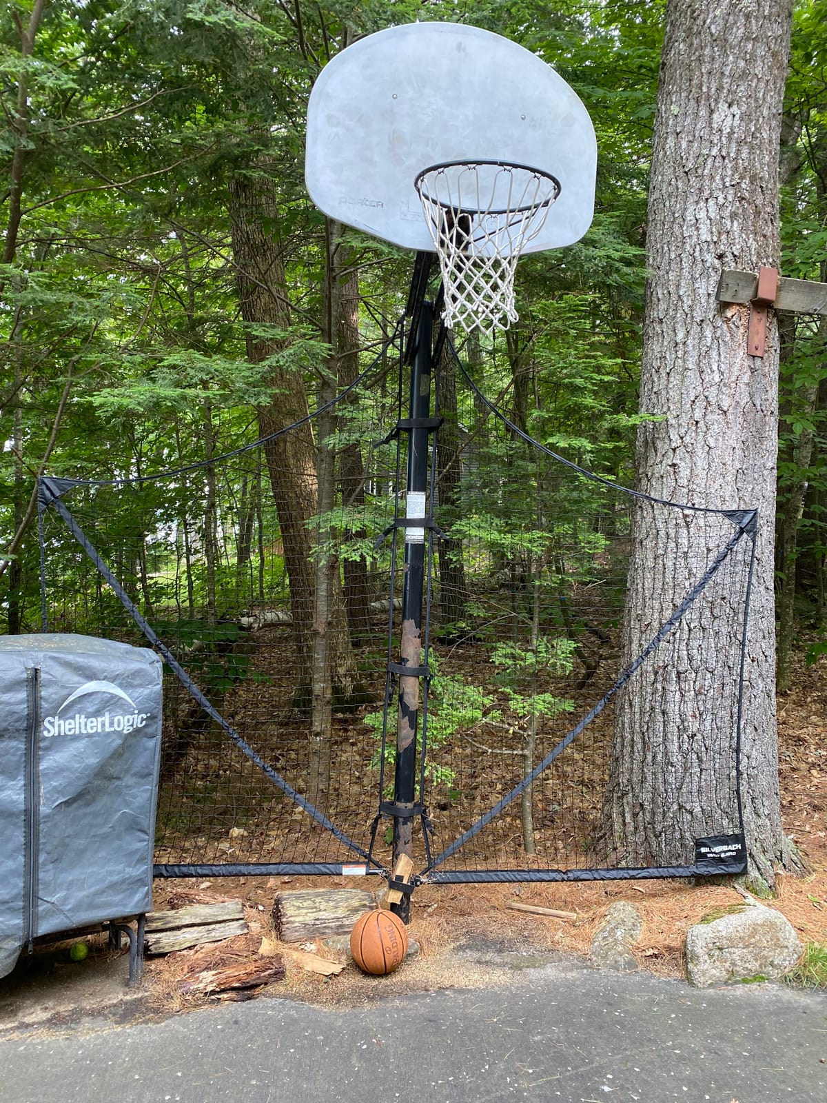 Silverback Basketball Yard Guard Defensive Net System Rebounder with Foldable Net and Arms into Pole, White/Black, Large customer photo 1