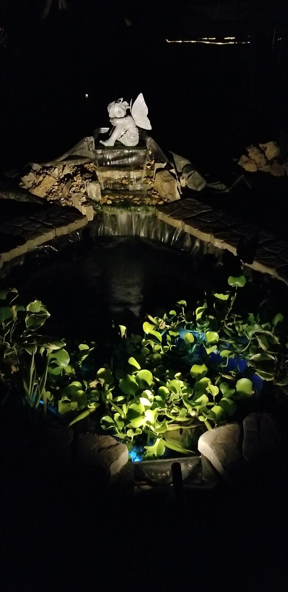 HALF OFF PONDS 15x25 Savio Select 3000 GPH EPDM Liner Water Garden Pond Kit customer photo 2