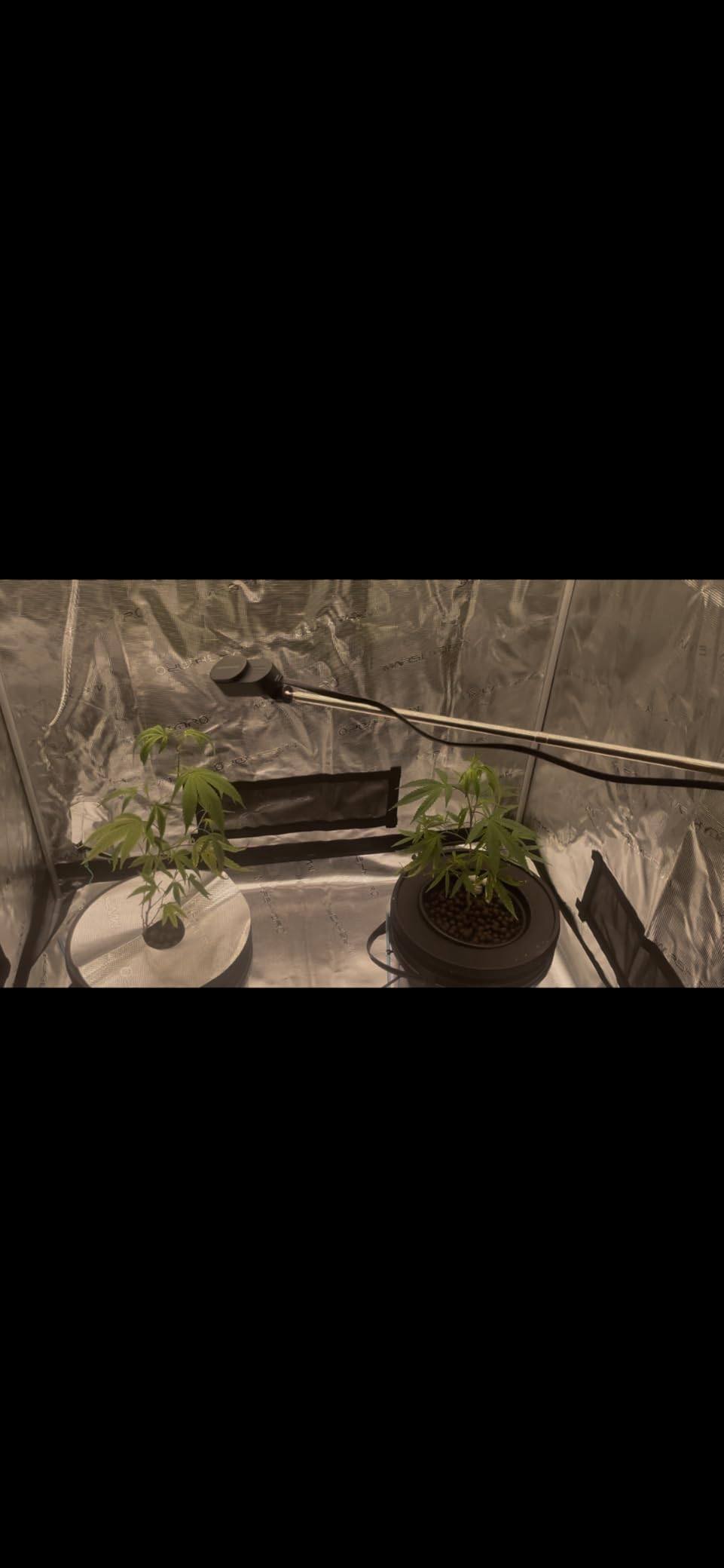 MARS HYDRO 4x2x6 Advanced Grow Tent, 48
