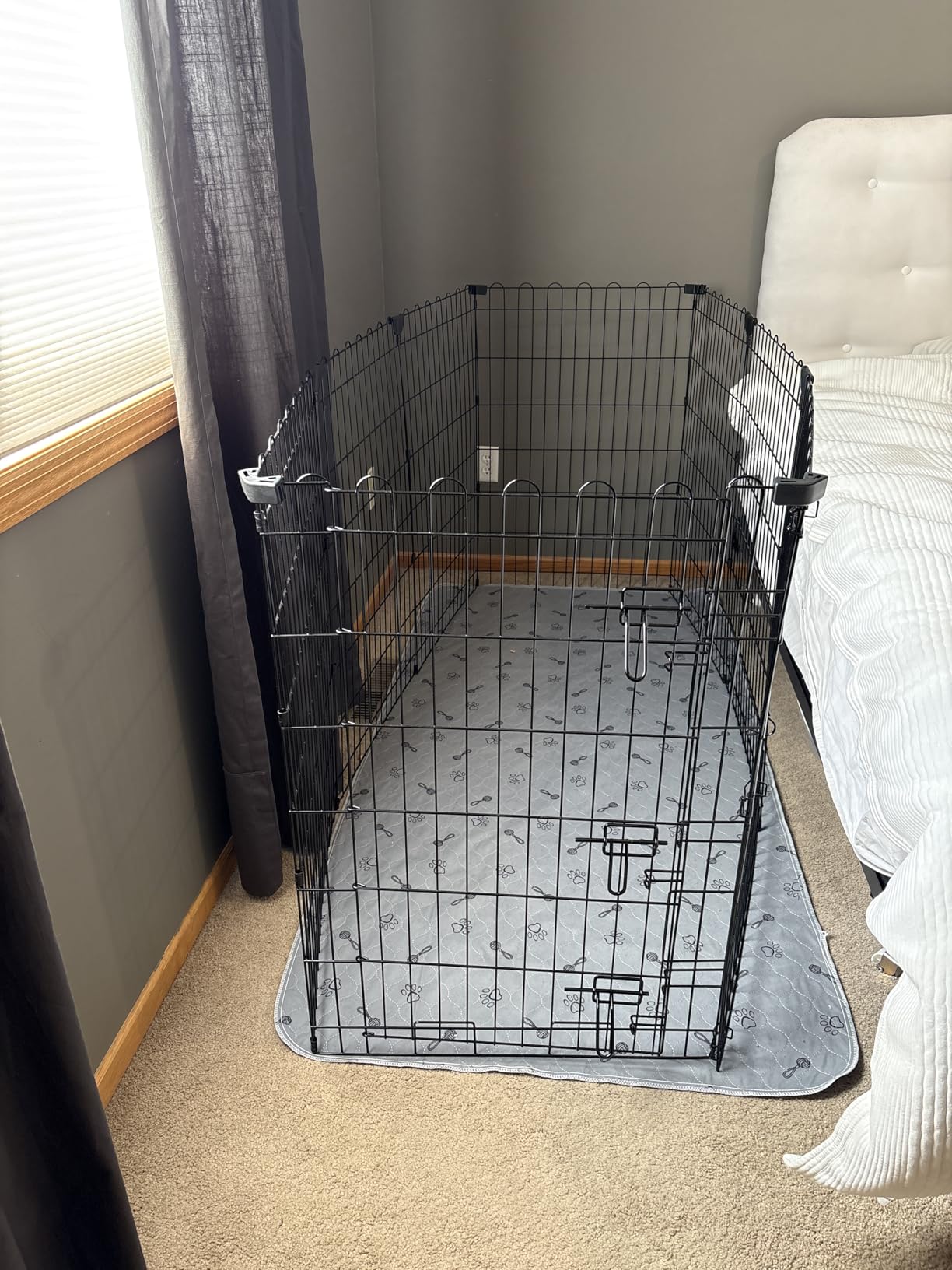 Amazon Basics Foldable Metal Indoor/Outdoor Dog Playpen, Octagonal Exercise Pen, Single Door, 8 Panels, 48 Inch Tall, X-Large, 60 x 60 x 48 Inches, Easy to Assemble, Black customer photo 2