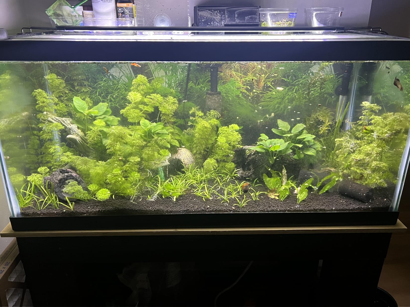 Fluval Plant 3.0 LED Planted Aquarium Lighting, 46 Watts, 36-46 Inches customer photo 1