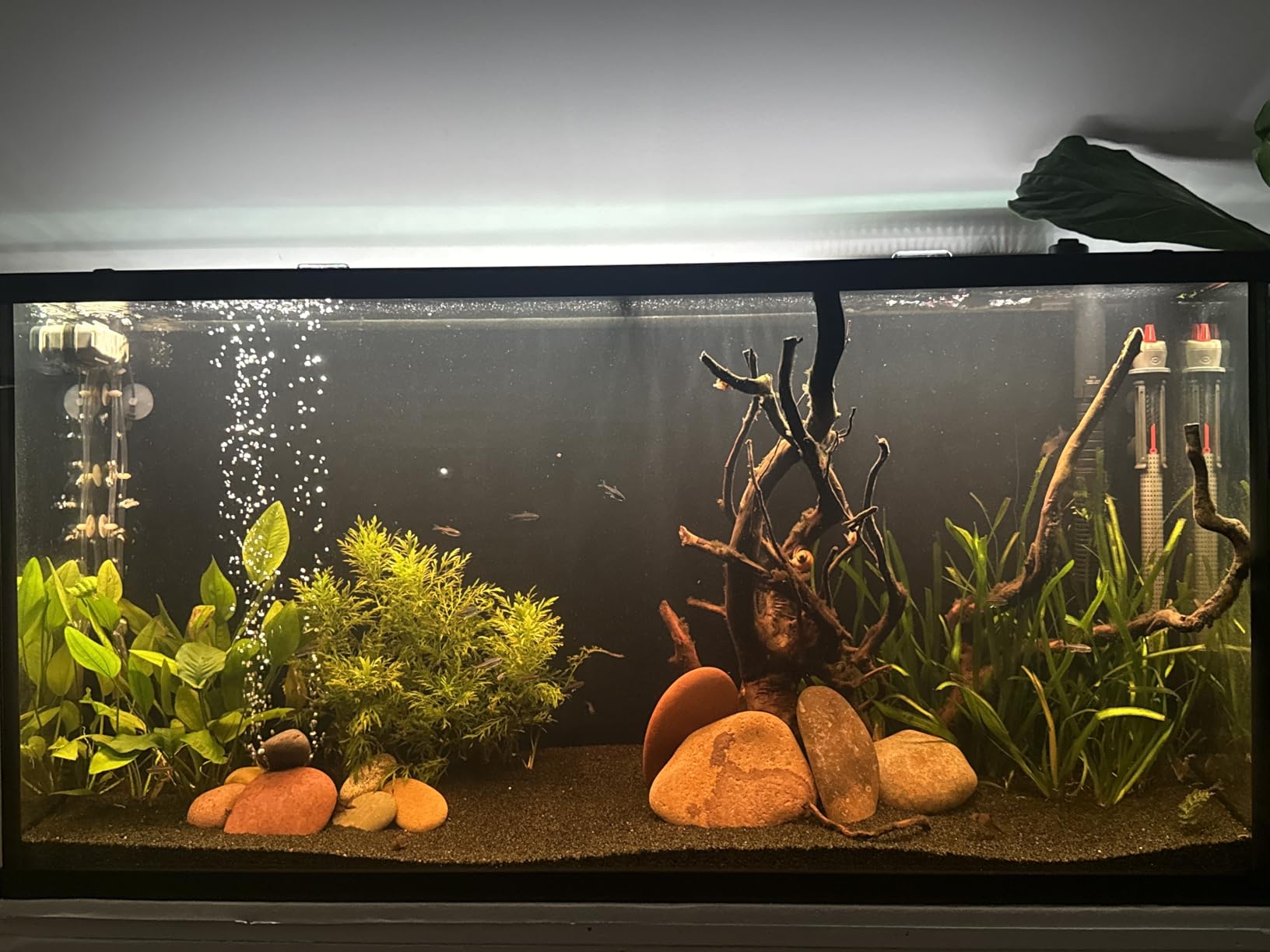 NICREW ClassicLED Plus LED Aquarium Light with Timer, 21 Watts, for 30 to 36 Inch Fish Tank Light, Daylight and Moonlight Cycle customer photo 1