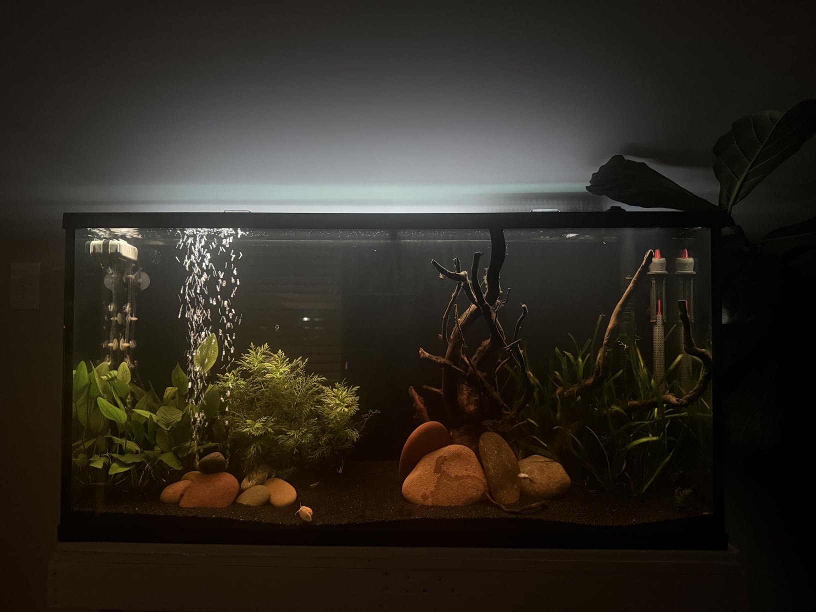 NICREW ClassicLED Plus LED Aquarium Light with Timer, 21 Watts, for 30 to 36 Inch Fish Tank Light, Daylight and Moonlight Cycle customer photo 2