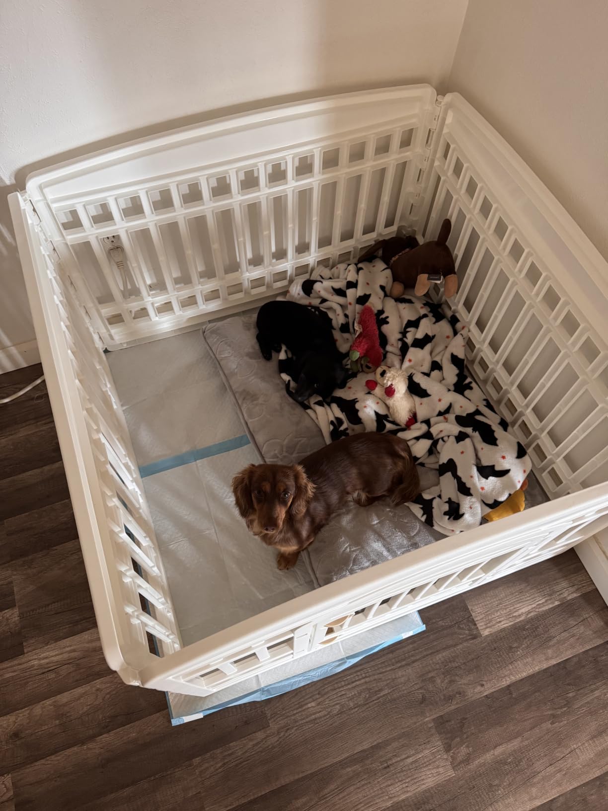IRIS USA 4-Panel Dog Playpen, Pet Enclosure, White customer photo 2