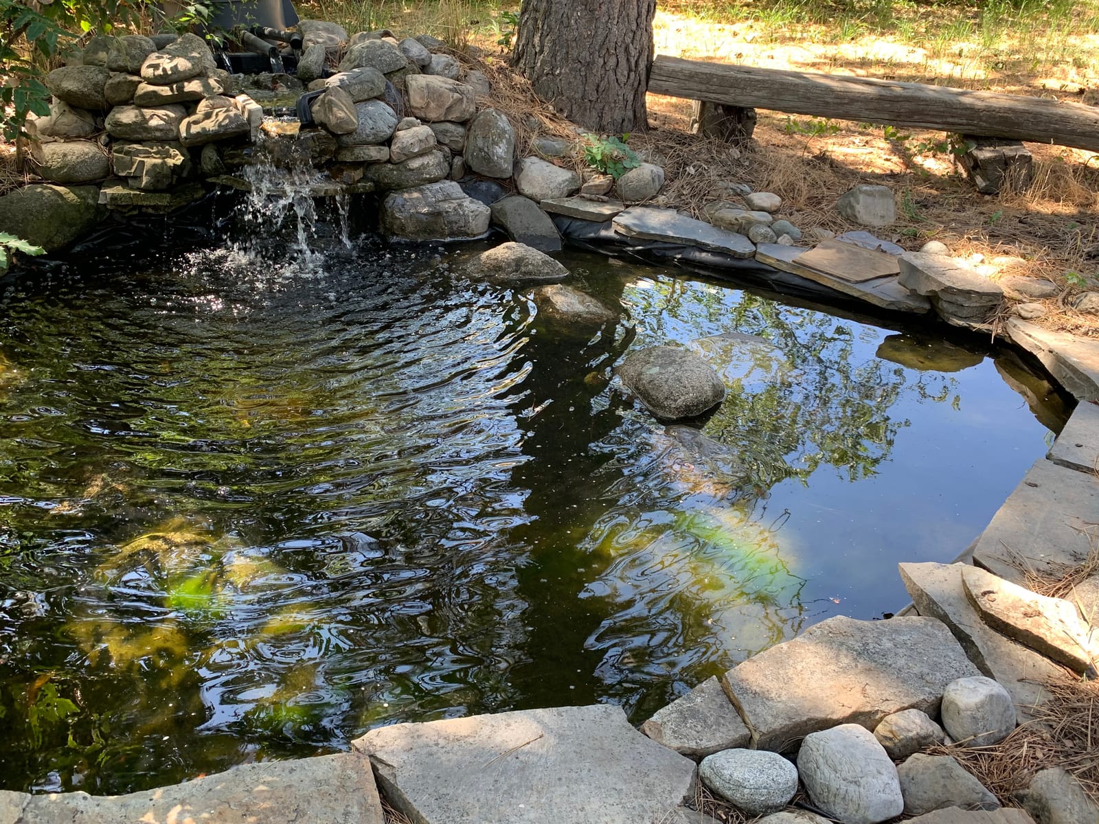 VIVOSUN 2700GPH Sub Water Pump for Pond Waterfall, Statuary, Hydroponics customer photo 2