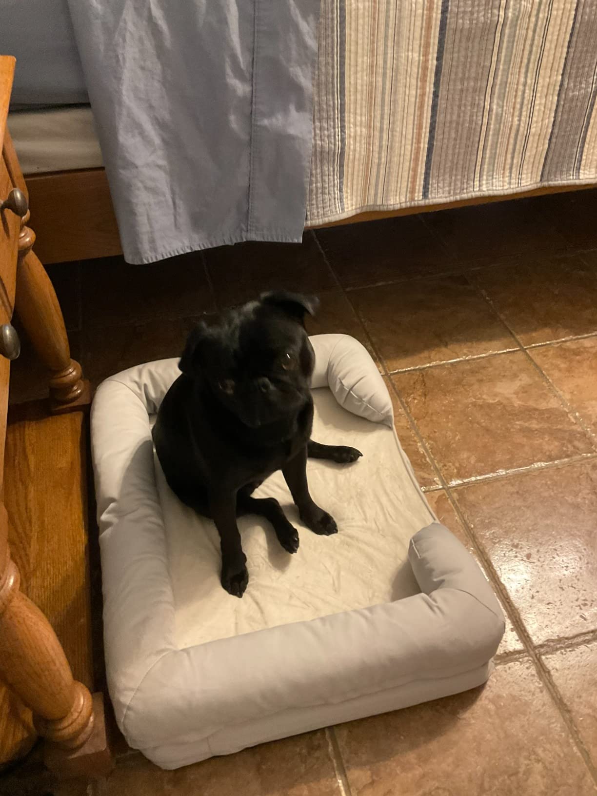 Ultimate Dog Bed, Orthopedic Memory Foam, Waterproof Cover Liner | Joint pressure relief, YKK zippers, breathable cotton exterior, multiple sizes and color options, pet safe customer photo 1