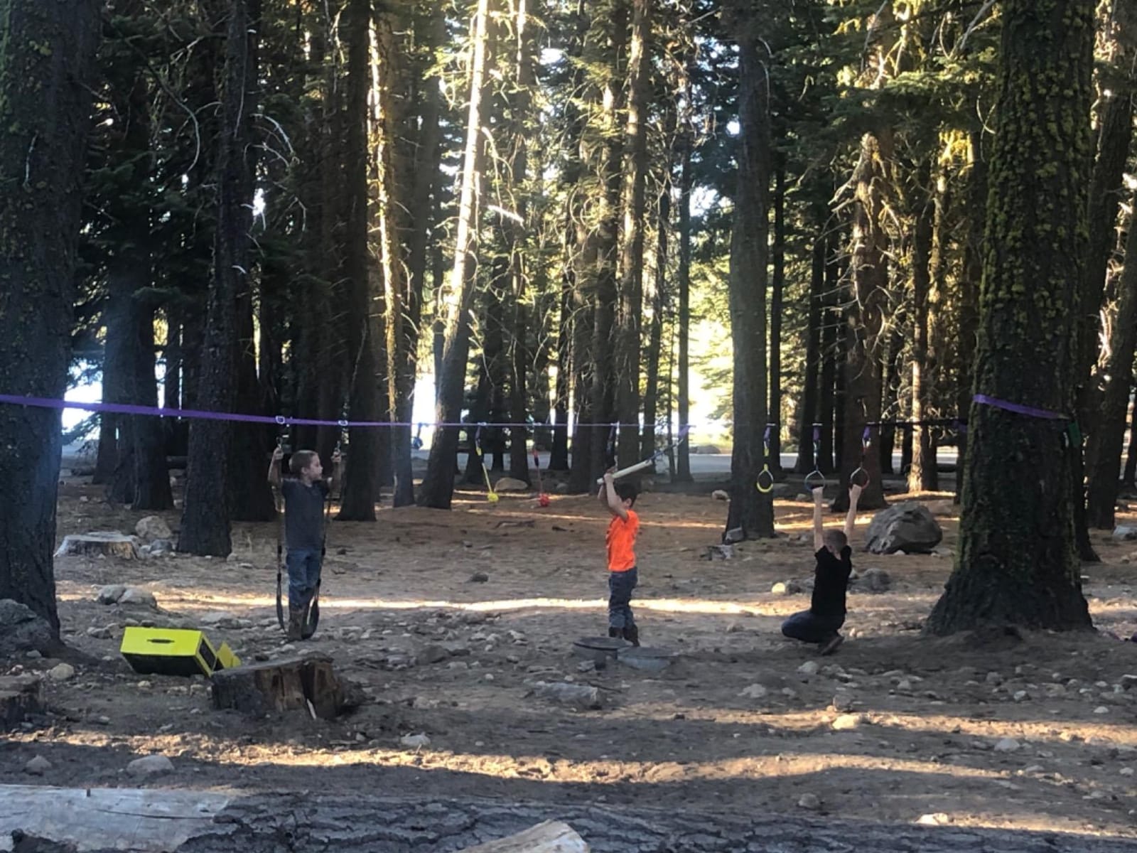 Trailblaze Ninja Warrior Obstacle Course for Kids - Ultimate Outdoor Fun 2x55 Ft Ninja Slackline Climbing Net Rope Ladder Trapeze Swing Monkey Bars - Durable and Safe Ninja Course for Kids Outside | 450lb Capacity customer photo 1