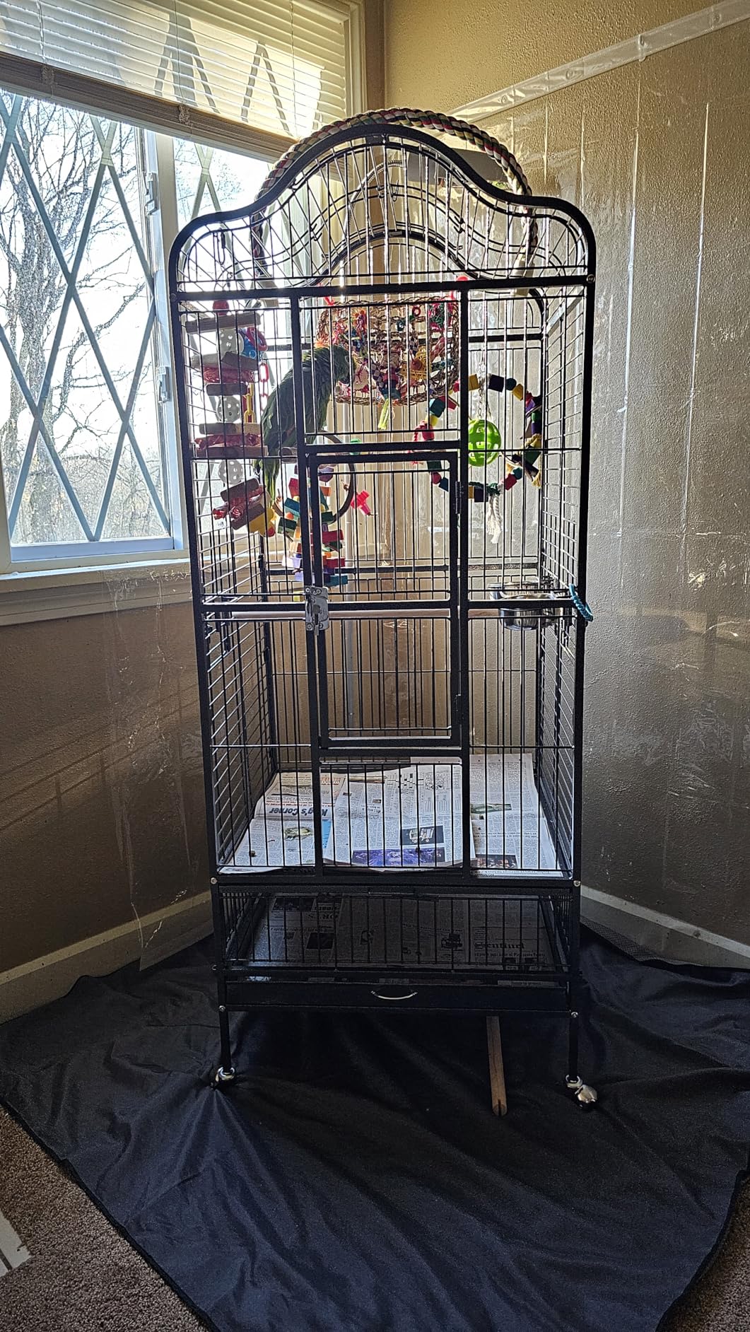 Yaheetech 63'' Bird Cage with Stand Wrought Iron Rolling Open Play Top Large Bird Cage for Mini Macaw African Grey Amazon Parrot customer photo 2