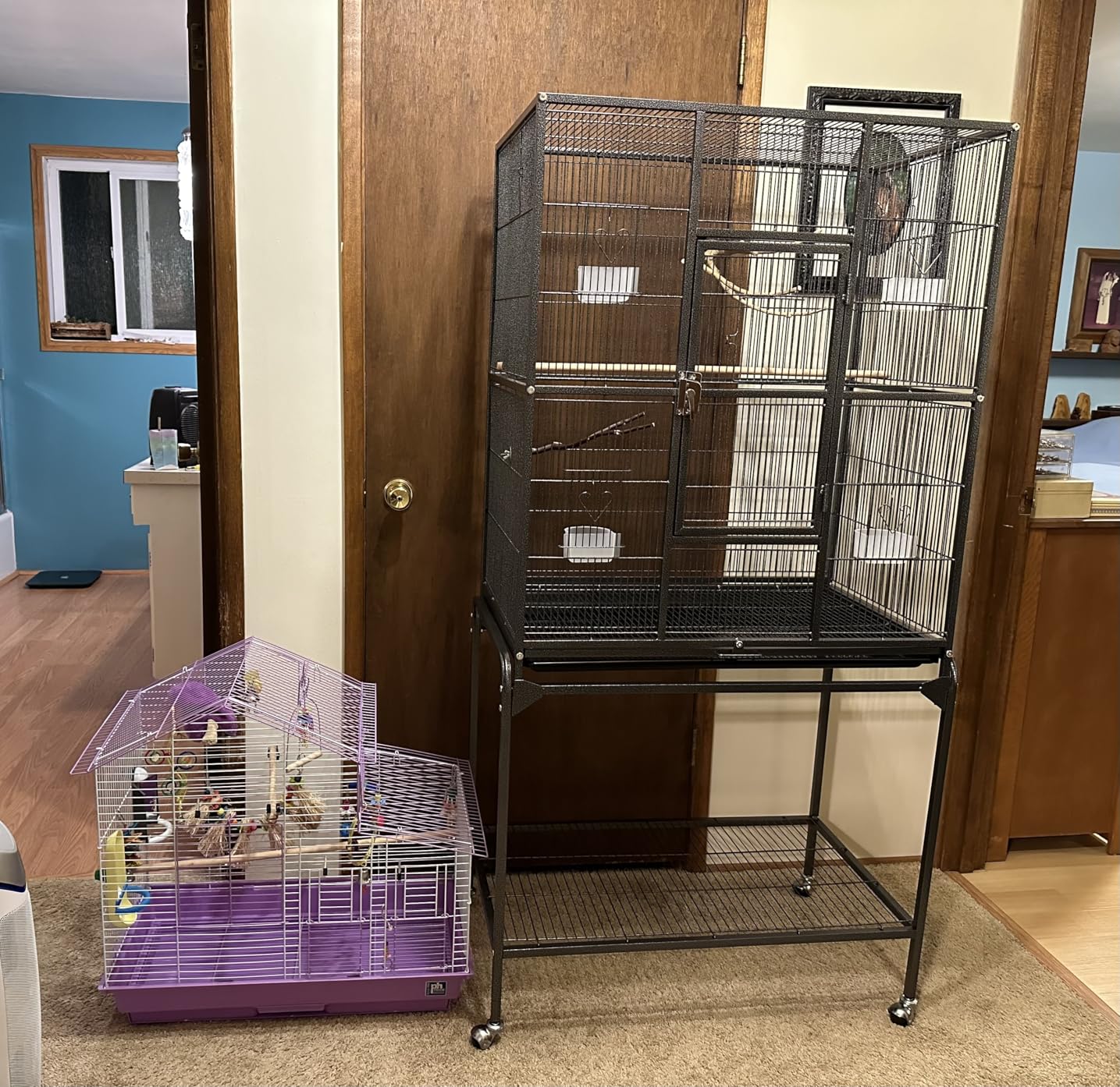 Yaheetech 63-Inch Wrought Iron Rolling Large Bird Cage for African Grey Small Quaker Amazon Parrots customer photo 1