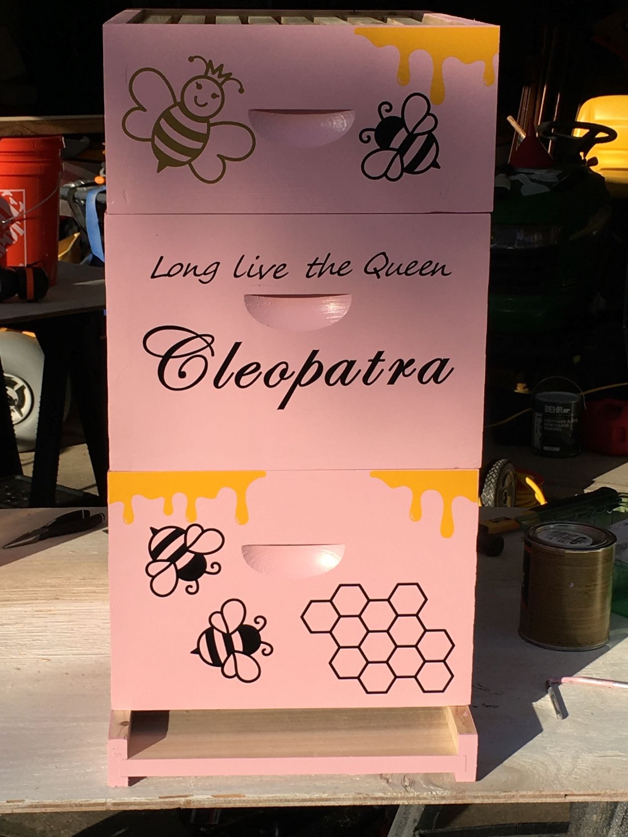 NuBee 8-Frame Beehive Kit - Unassembled Langstroth Hive with 2 Deep & 1 Medium Boxes, Frames & 100% Wax-Coated Foundations | Lightweight Fir & Pine Construction customer photo 2