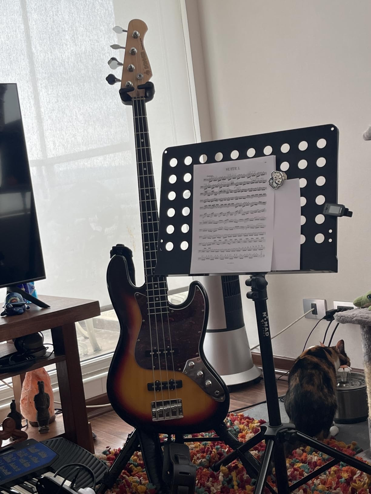 Donner Electric Bass 4 Strings Full-Size Guitar Kit PB-Style (Sunburst) - Standard Bass Beginner Kit with Free Online Lesson, Gig Bag, Guitar Strap and Guitar Cable, DPB-510 customer photo 1
