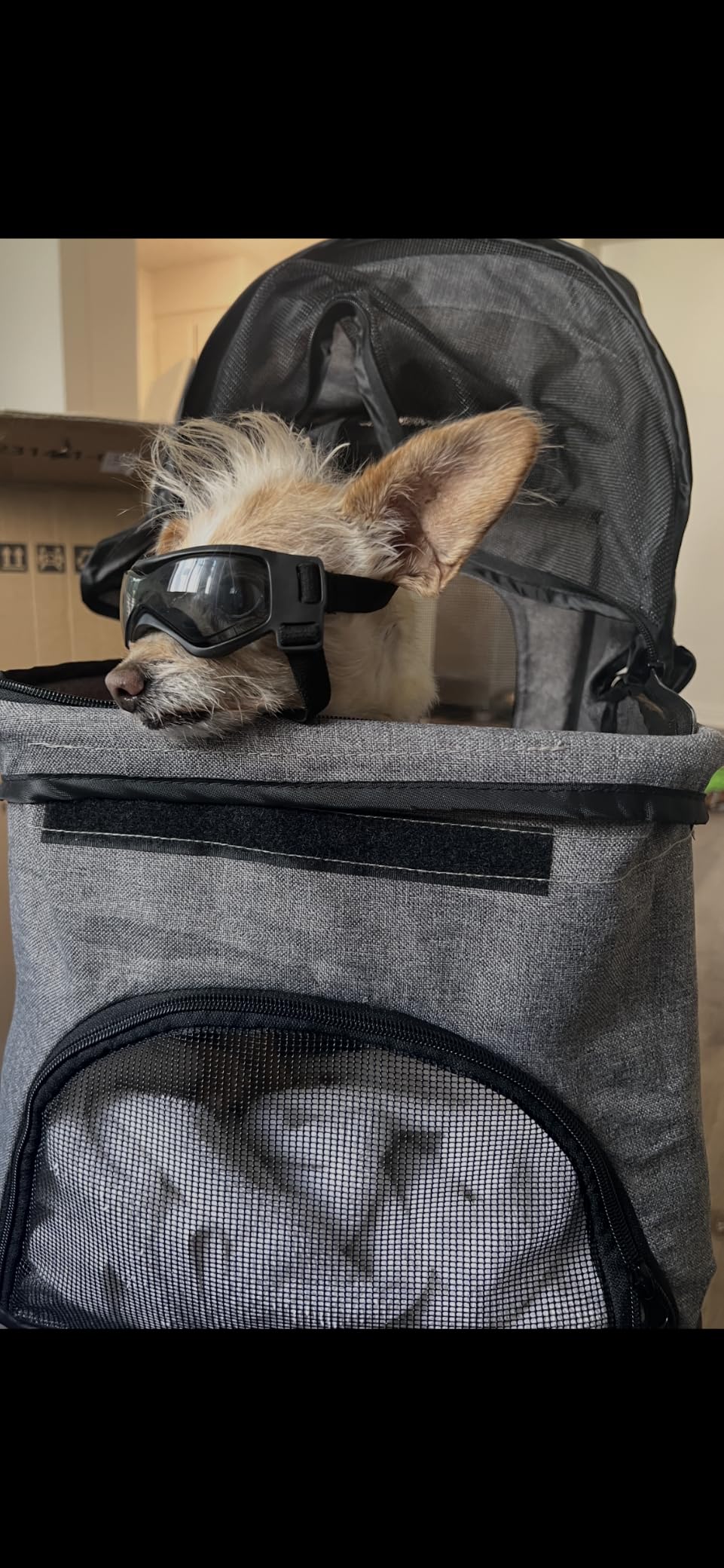 ZENY Foldable Pet Stroller, Cat/Dog Stroller with 4 Wheels | Pet Travel Carrier Strolling Cart with Storage Basket, Cup Holder, Black customer photo 1