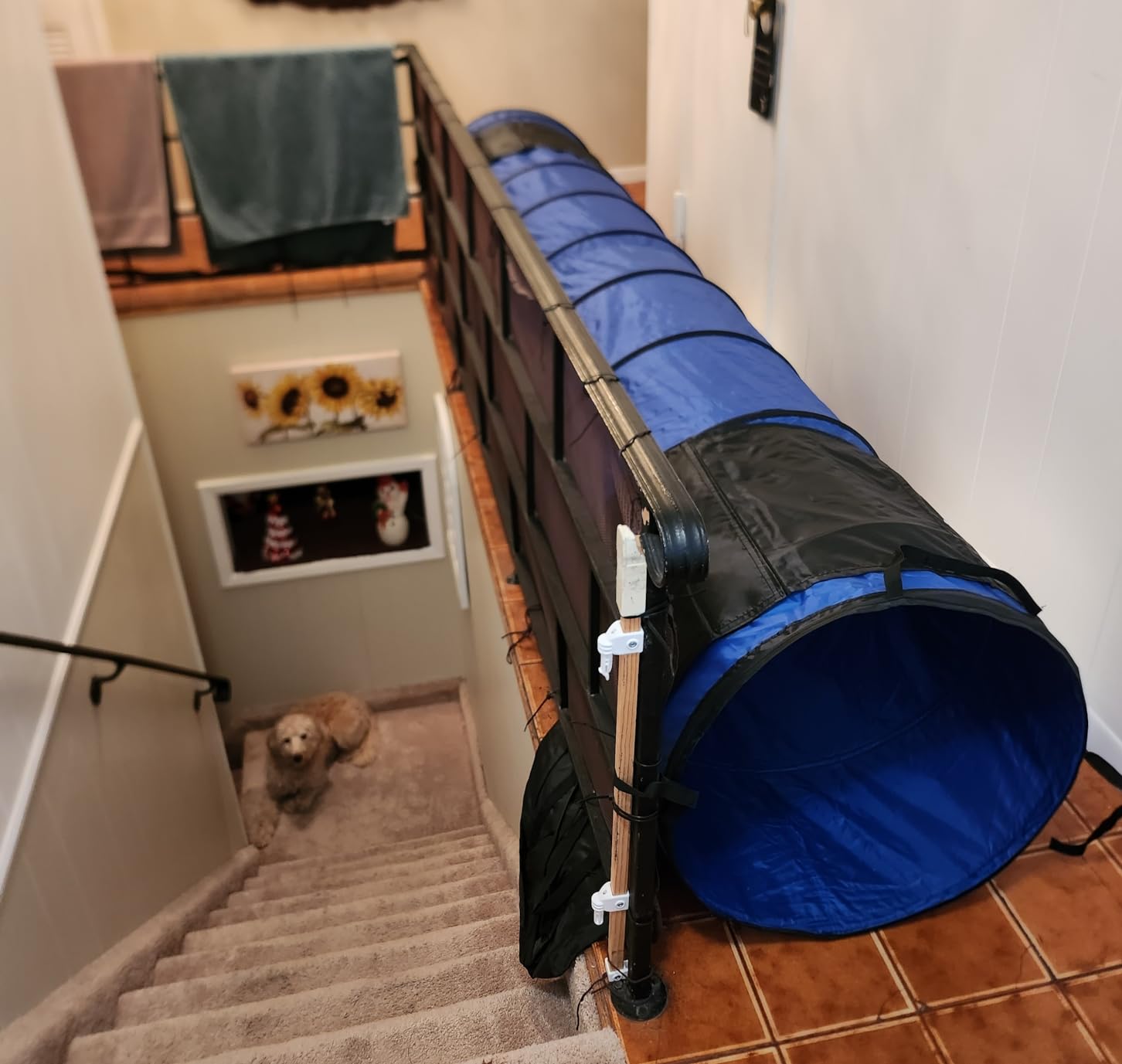 10 Foot Dog Agility Tunnel | Includes Sandbags, Dog Agility Equipment, Dog Agility Training customer photo 1
