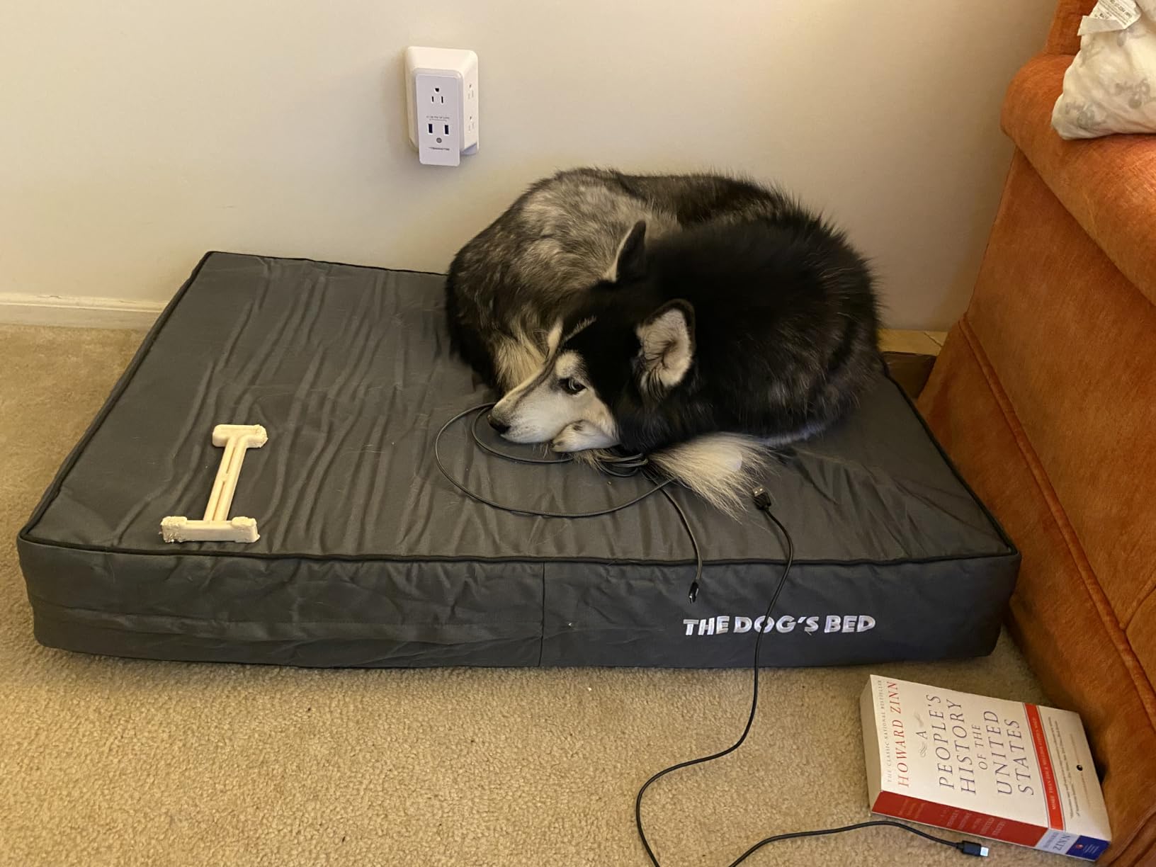 The Dog's Bed Orthopedic Memory Foam Dog Bed, Waterproof Large 6 Inch Thick | Washable Cover, Anti-Slip Base CertiPUR-Certified Foam Grey with Black Trim customer photo 1